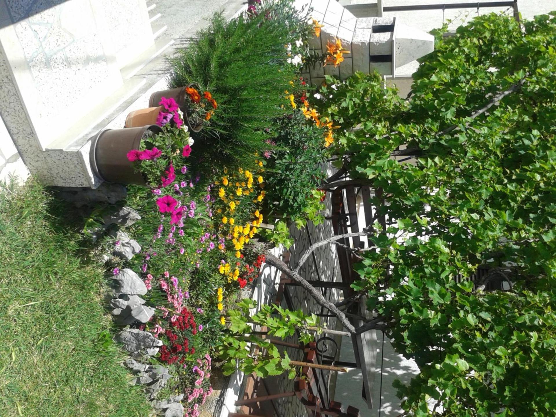 Photo 27
