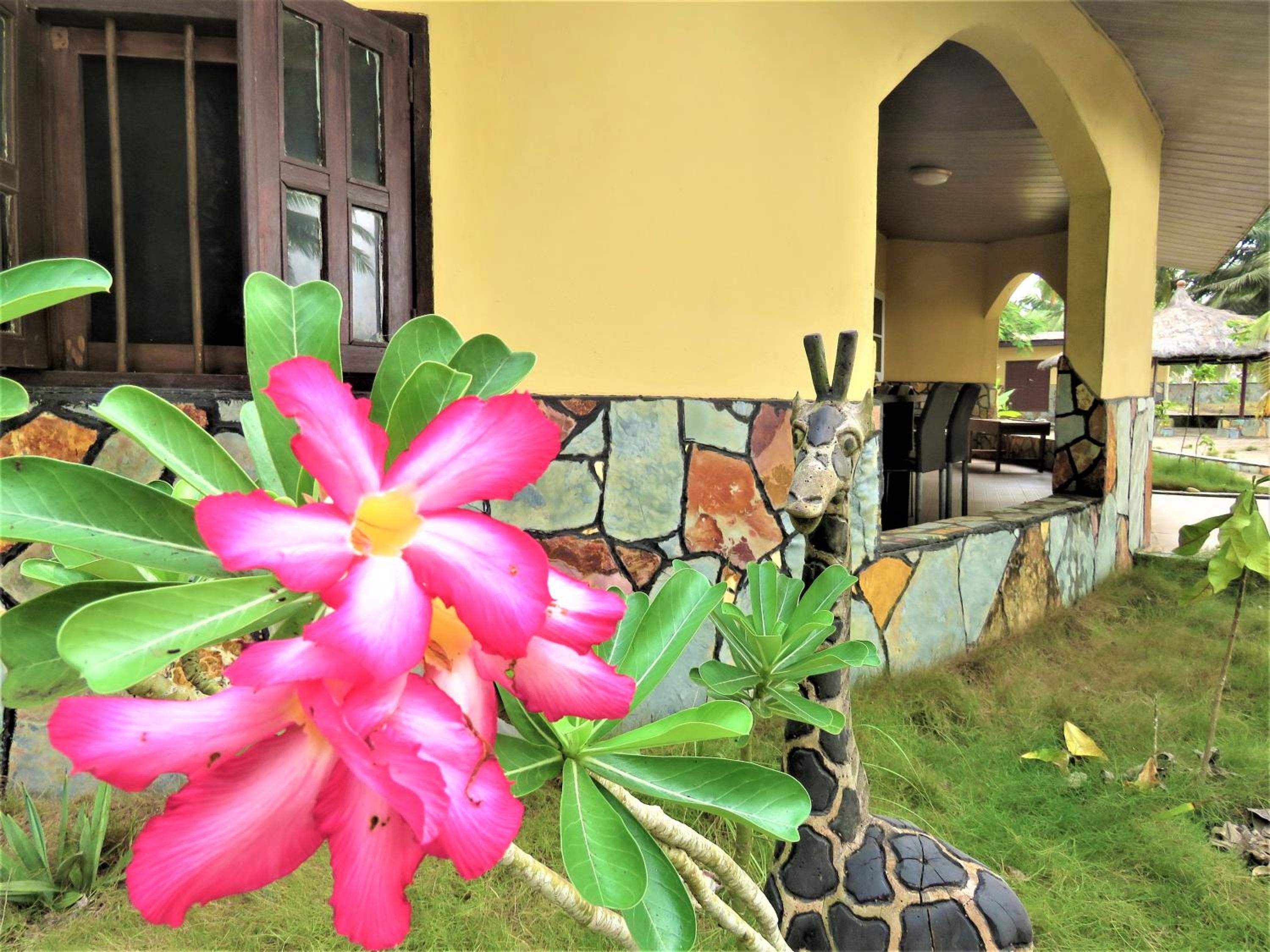 Private Beachfront Home-Ocean View-Total Privacy view 2