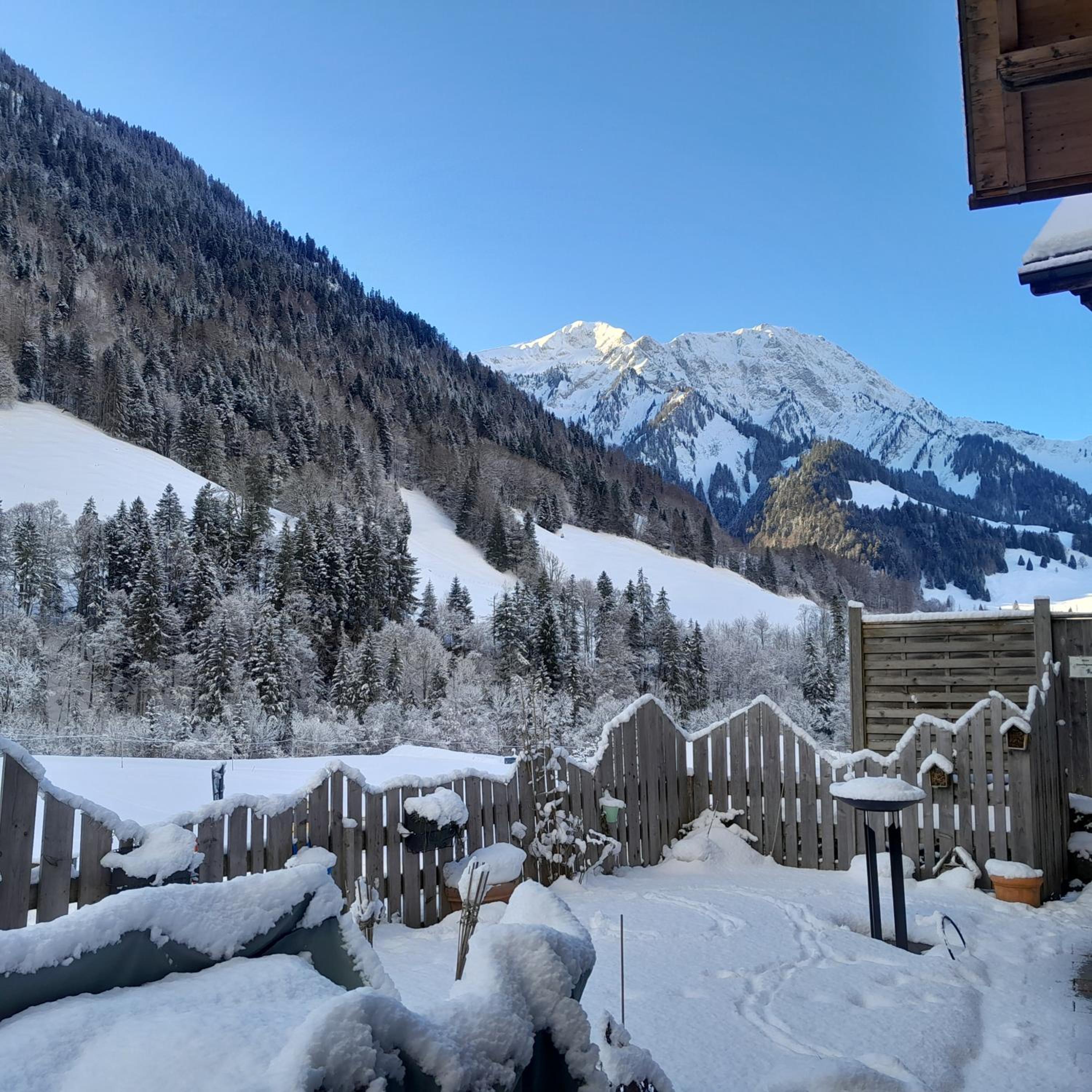 Mys Chalet - Authentique & rénové