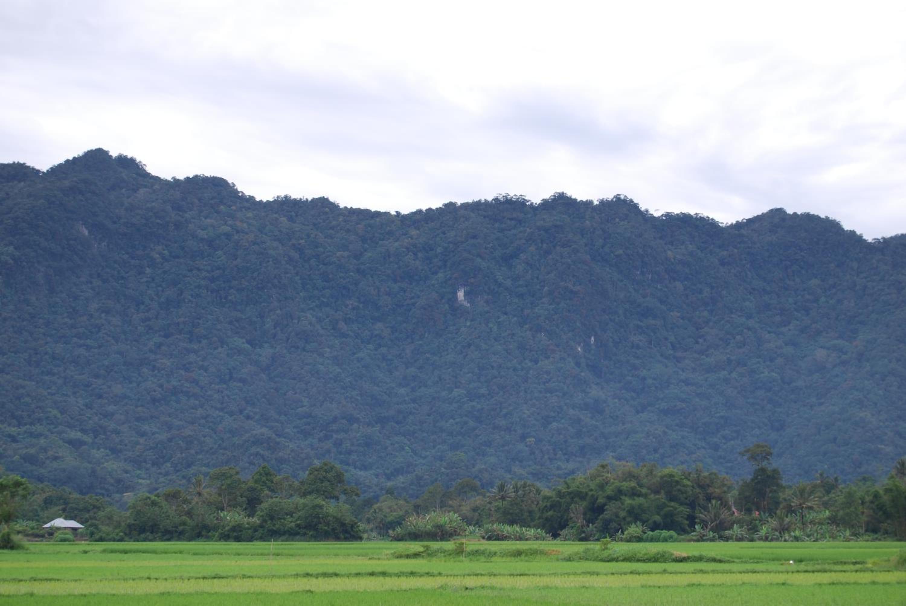 Rosani villa view 5