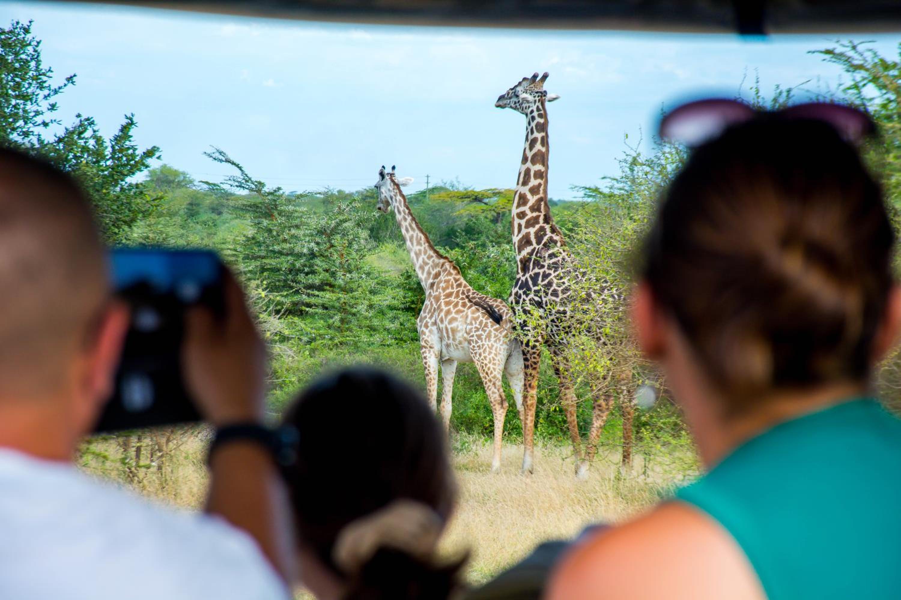 Safari Residence Lake Manyara