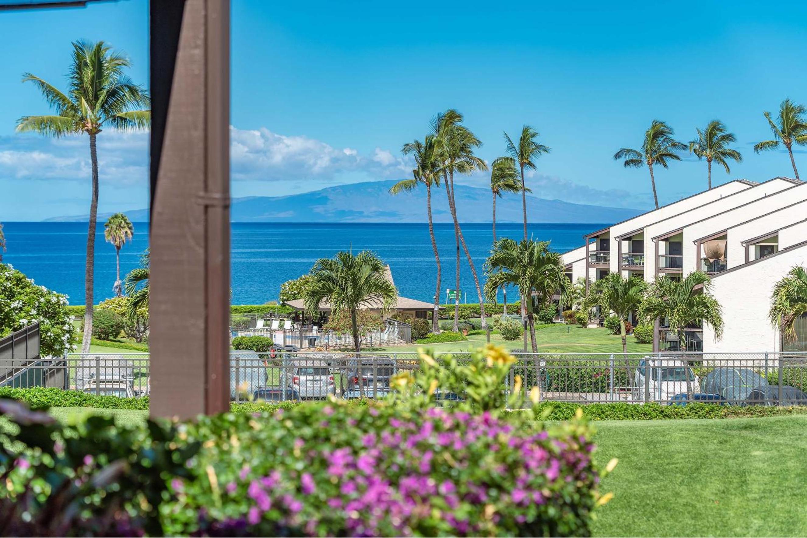 Photo 83