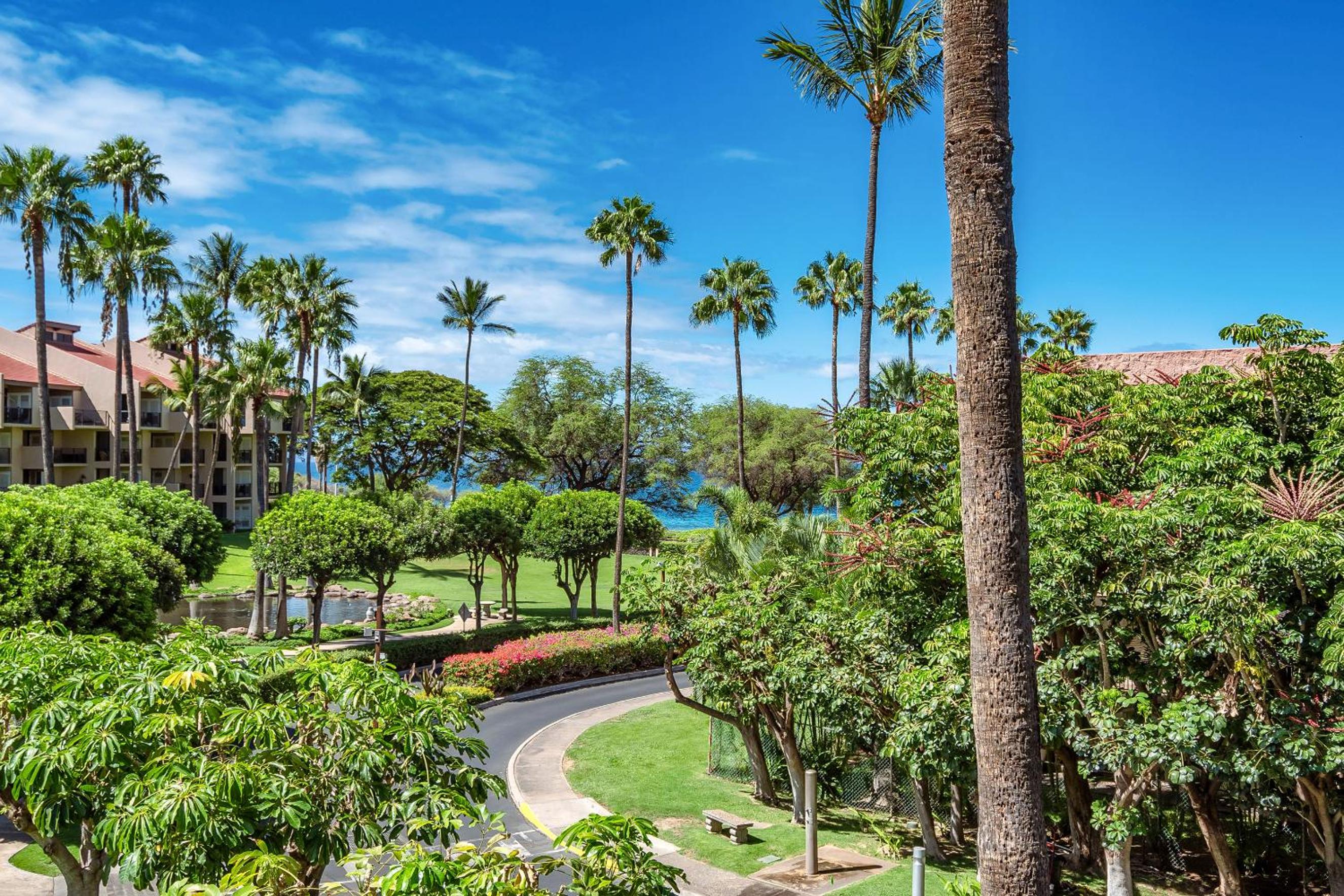 Kamaole Sands 1-307 - Stunning Renovation, New AC!