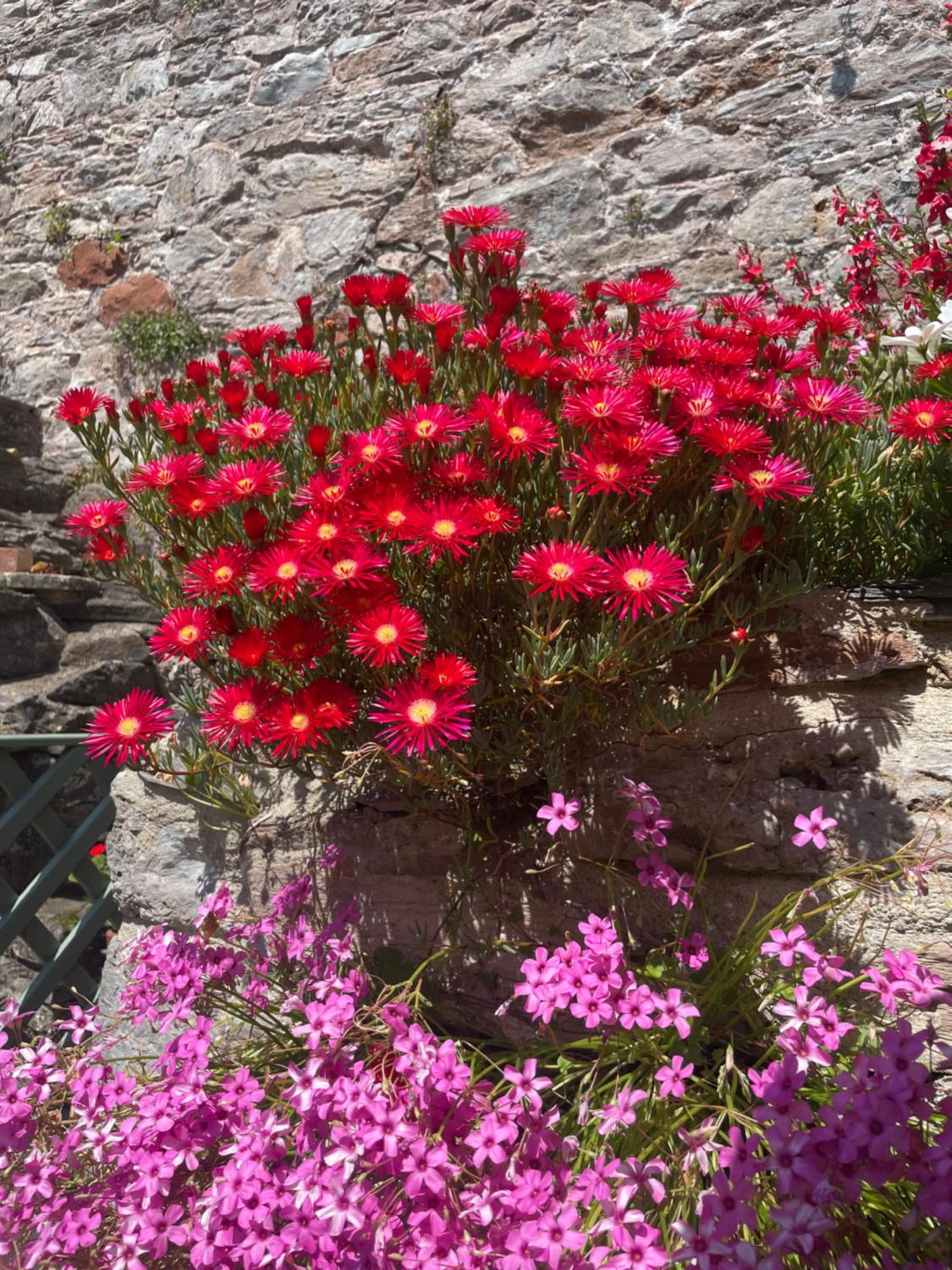 Drift Cottage - Fisherman's Cottage Brixham harbour
