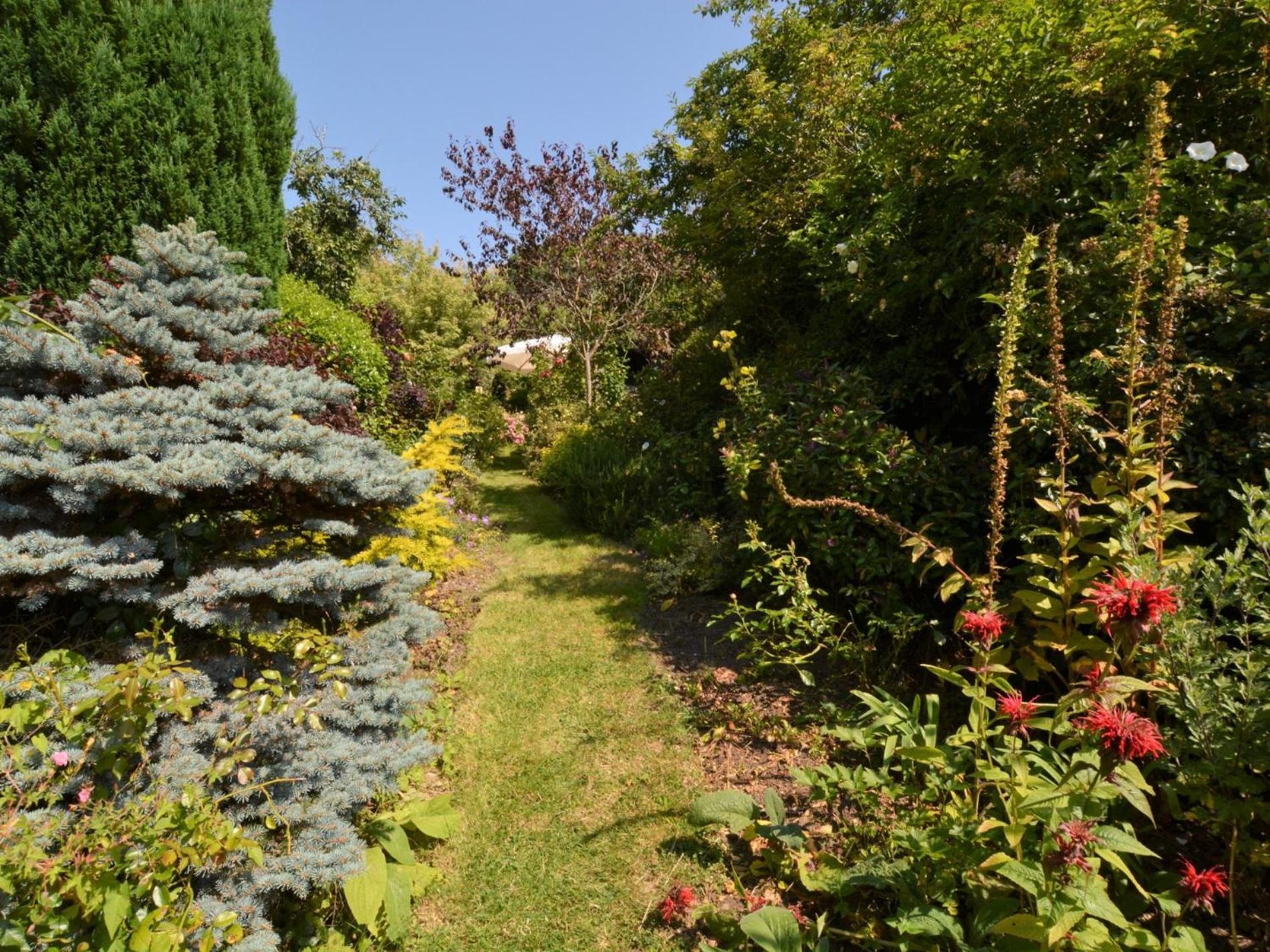 Photo 25