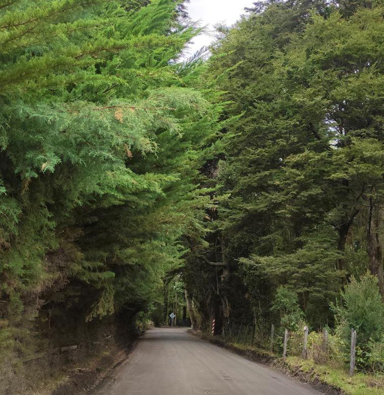 Cabaña Ensenada, Puerto Varas - 1 ambiente