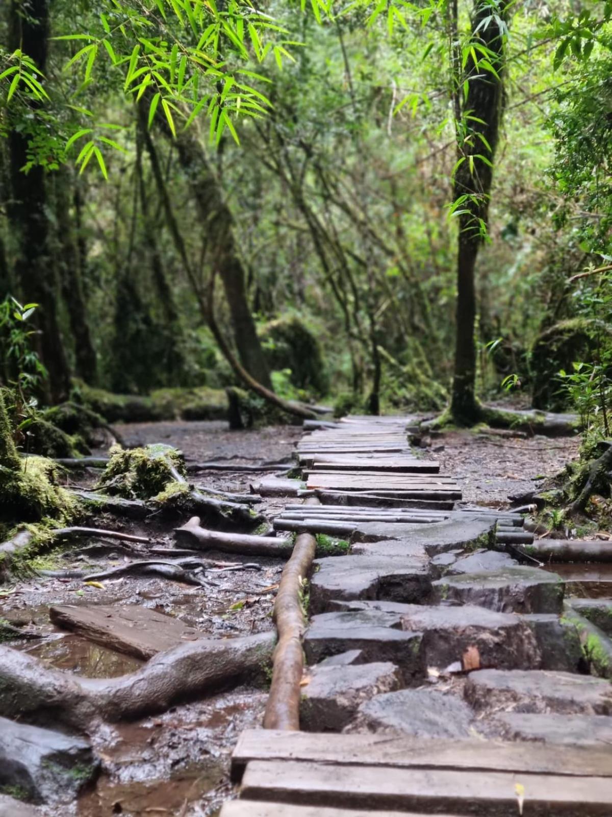 Cabaña Ensenada, Puerto Varas - 1 ambiente