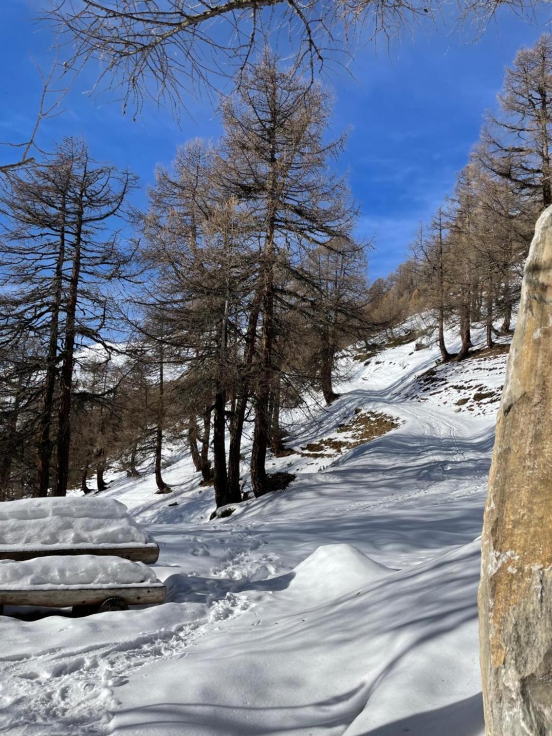 Alpenparadies