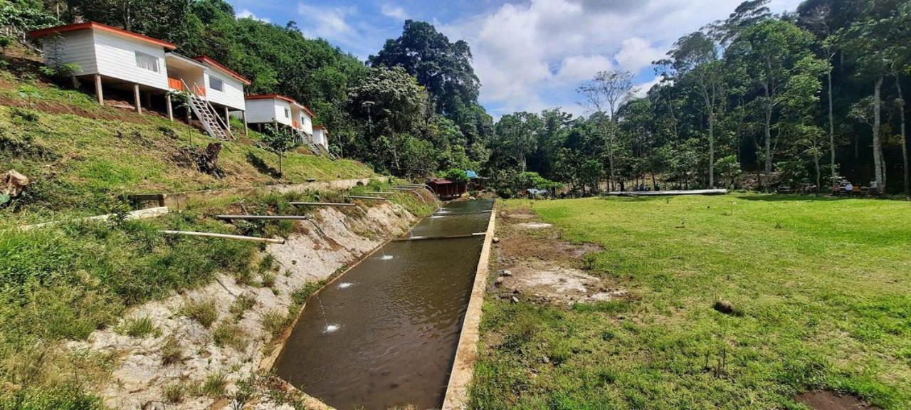 Photo 30