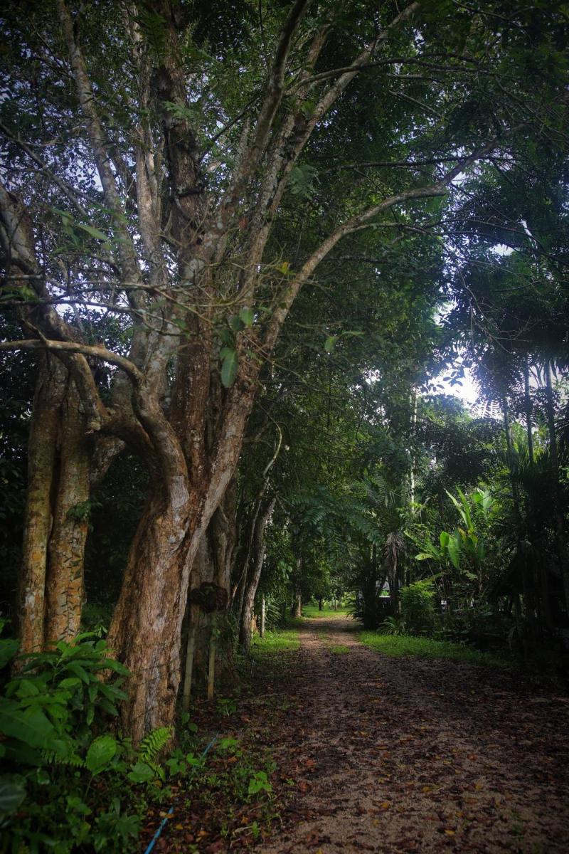 Bann Chi Homestay view 5