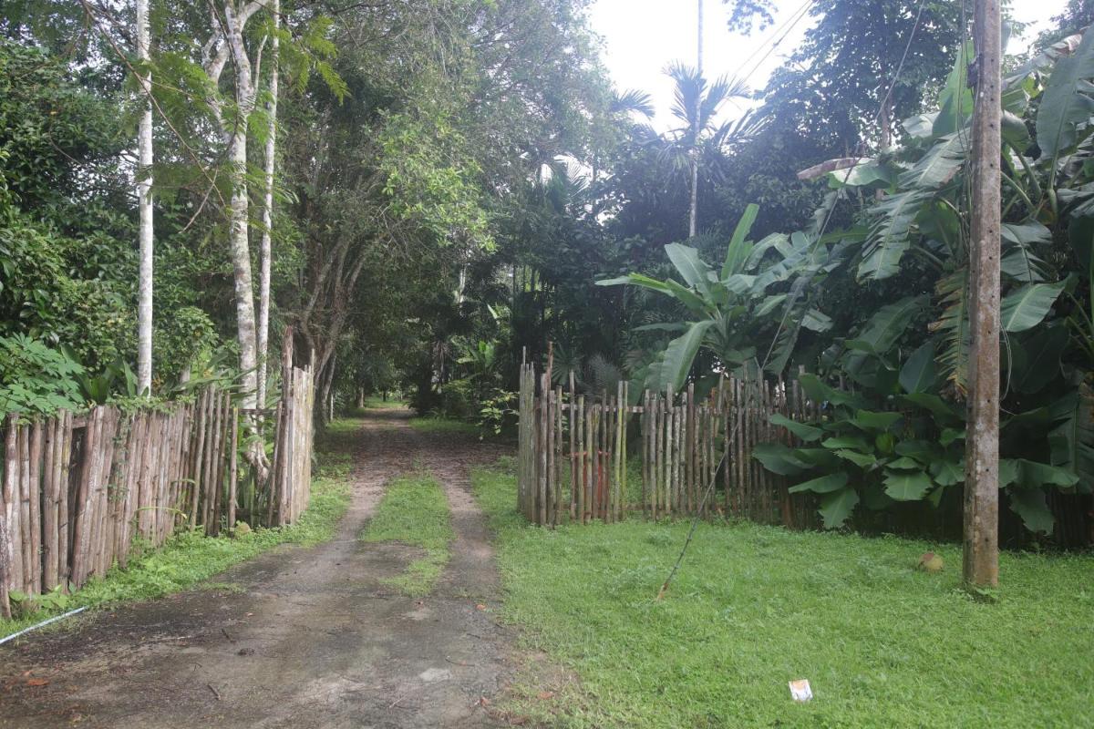 Bann Chi Homestay view 3
