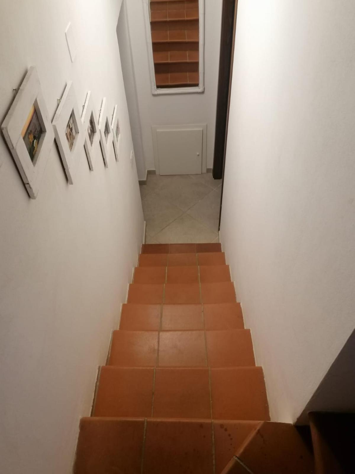 Photo 53