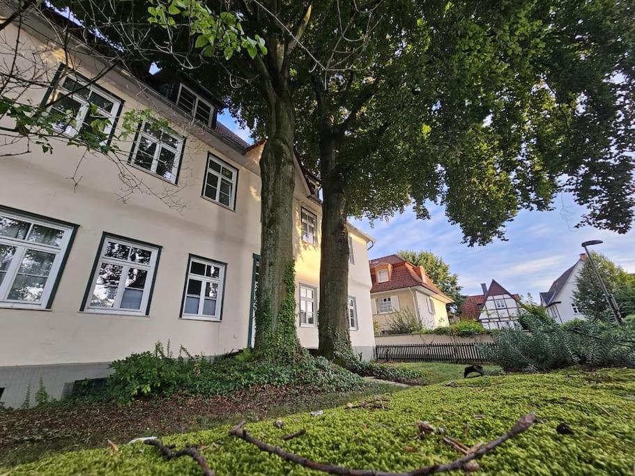 Patrizierhaus Altstadt am Brauhaus Zwiebel