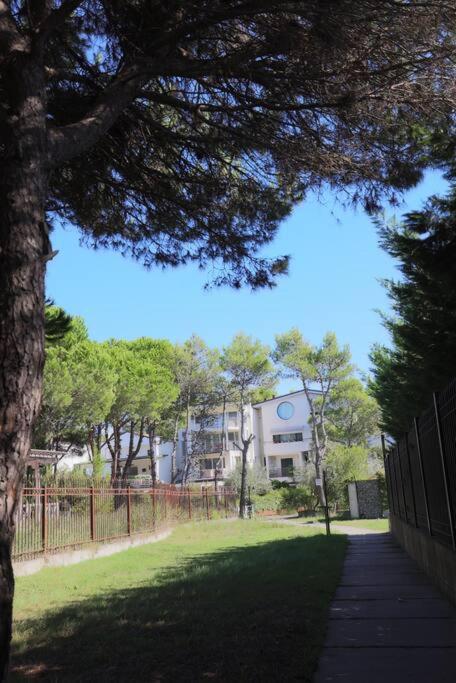 Blue Laguna Pines Retreat