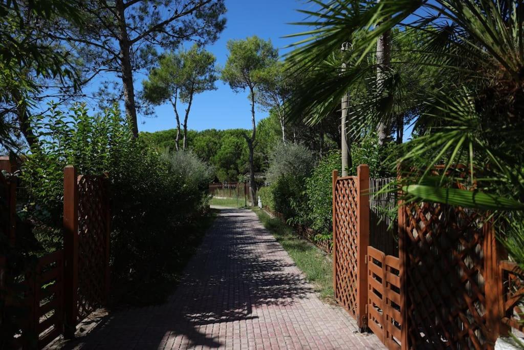 Blue Laguna Pines Retreat
