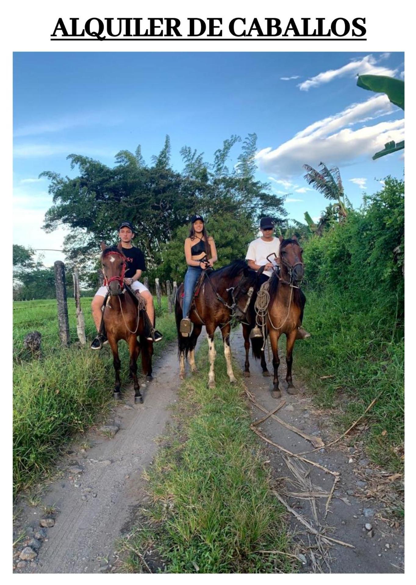 Los Potrillos