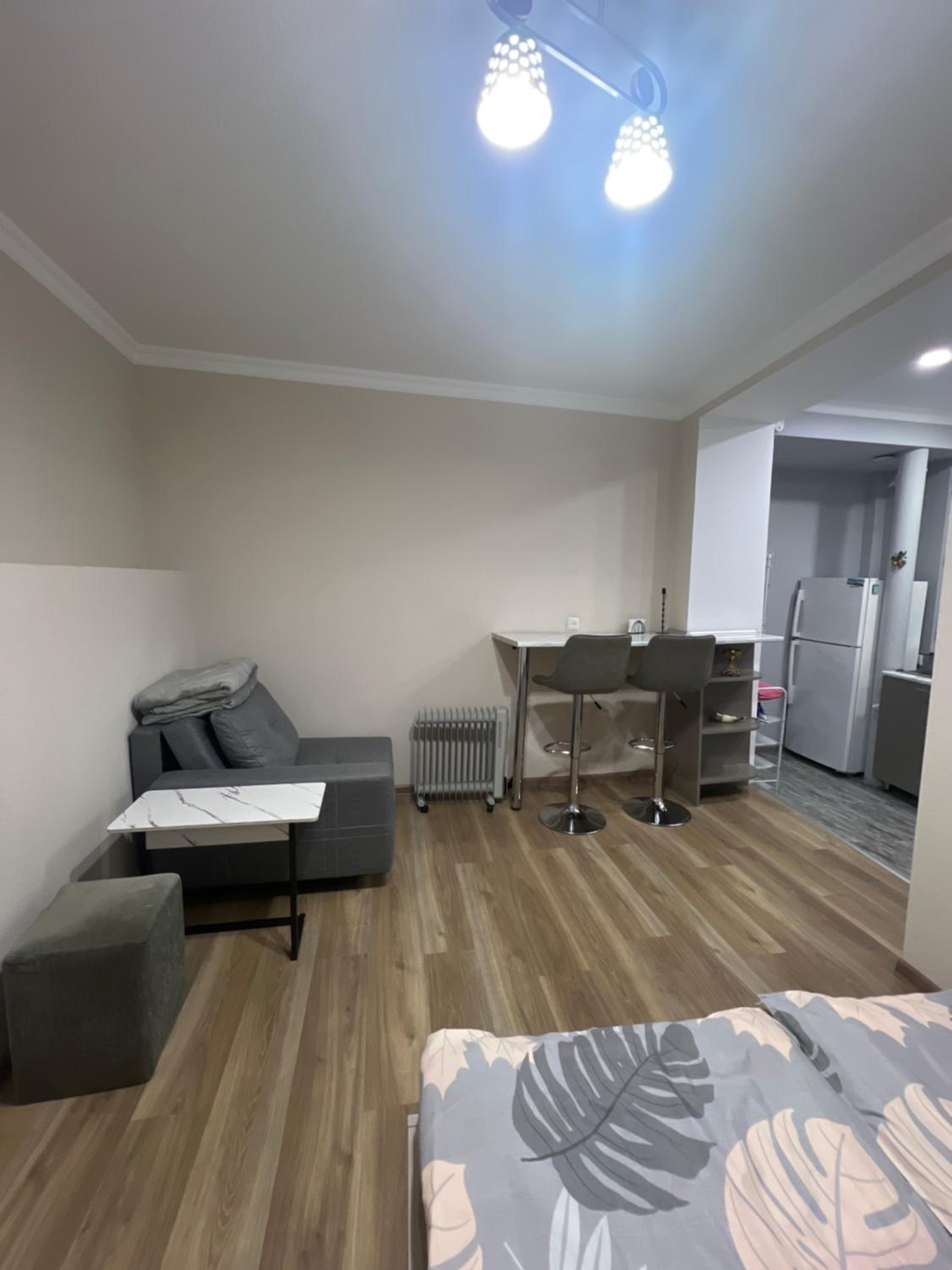 Apartment Studio N1
