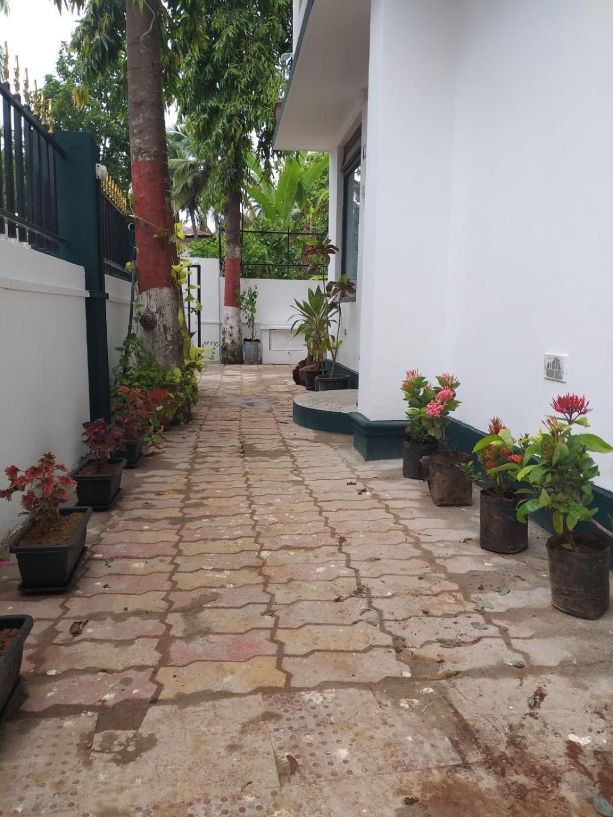 RM Guest House ,Goa view 4
