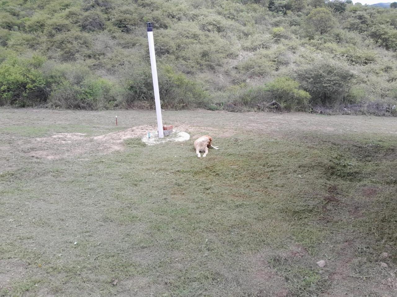 Utopía - Cabaña de Montaña