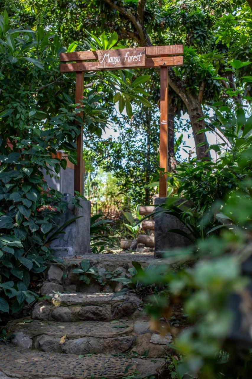 Mangoforest Bali
