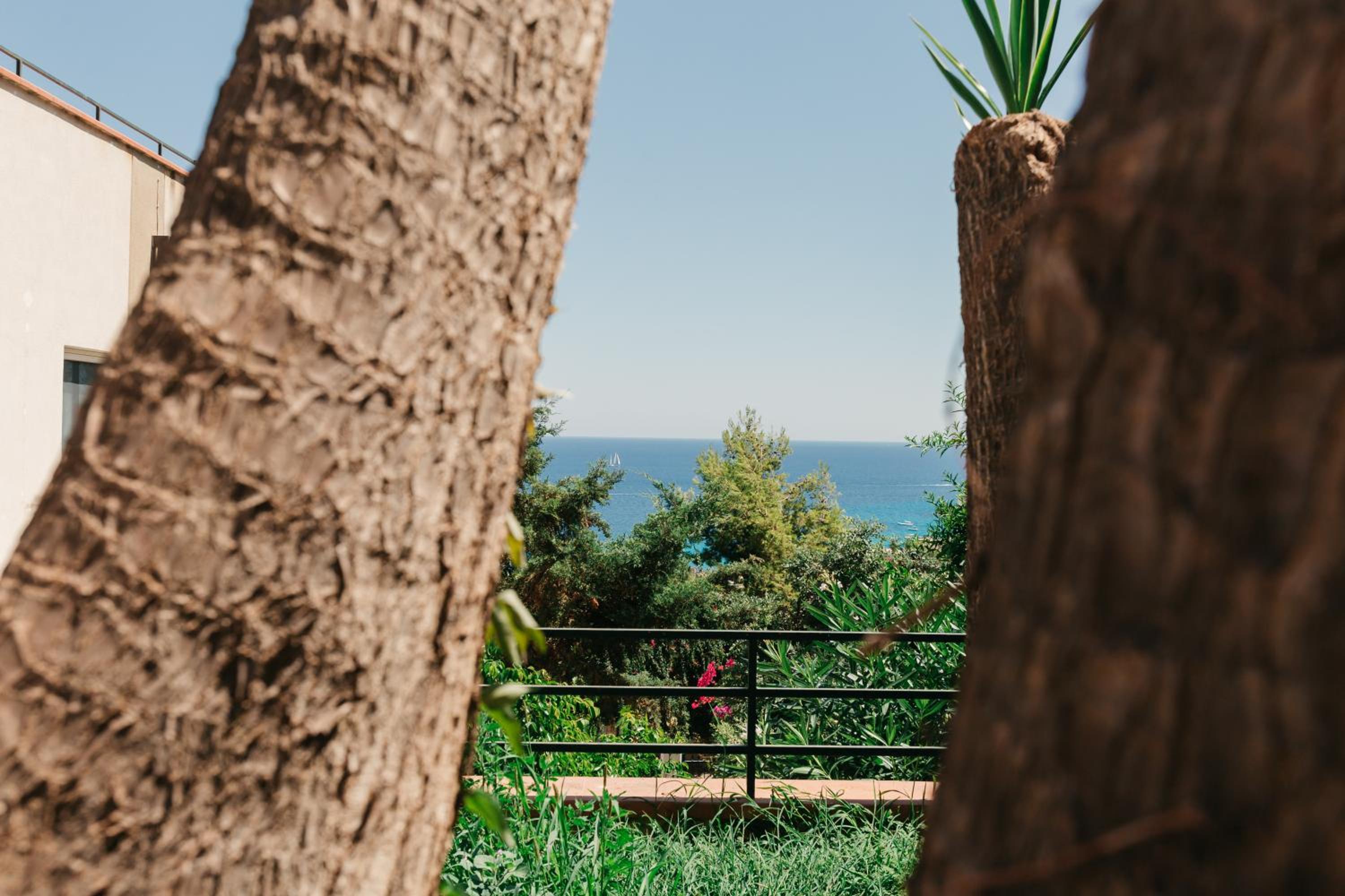 Daustria Suites