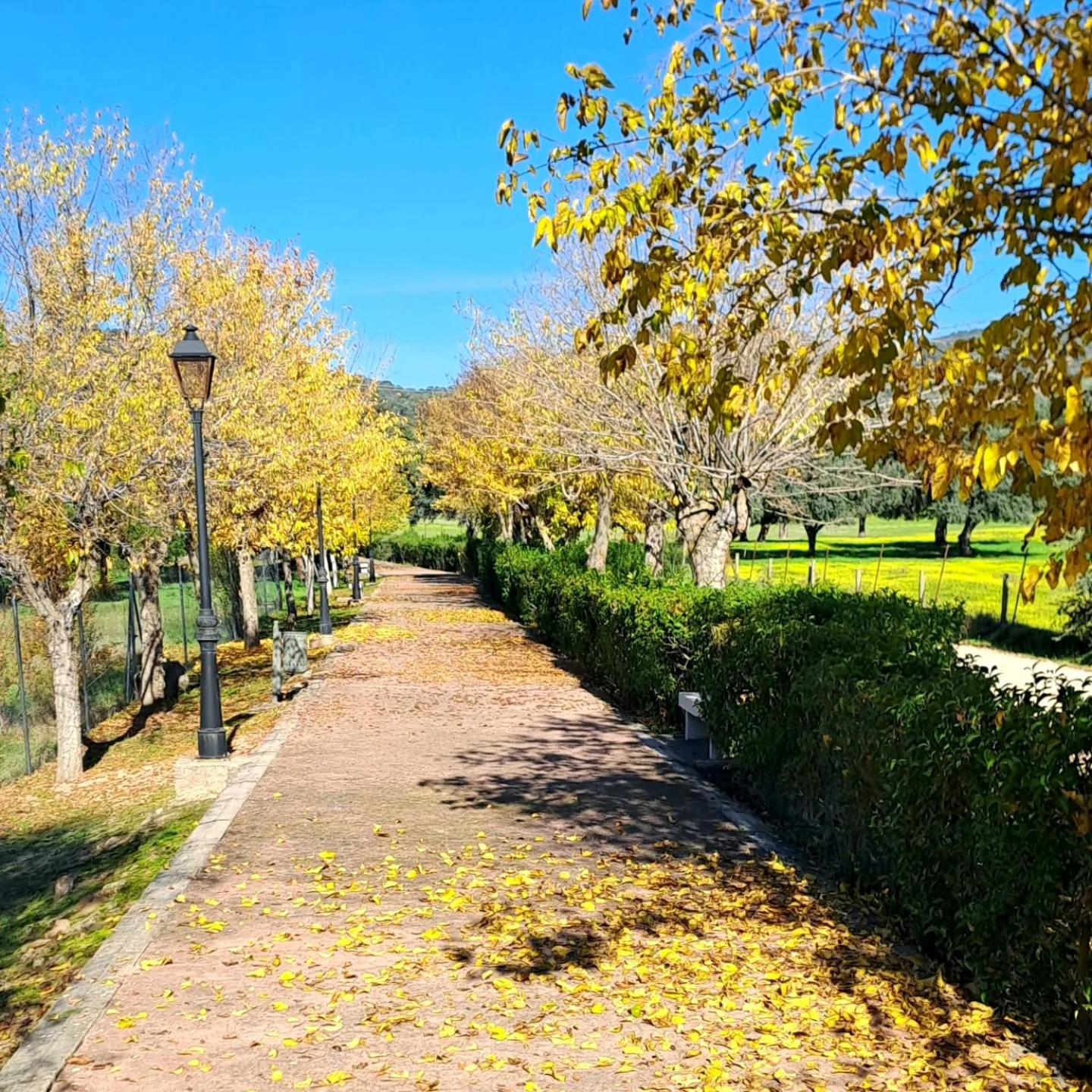 Casa El Frenazo