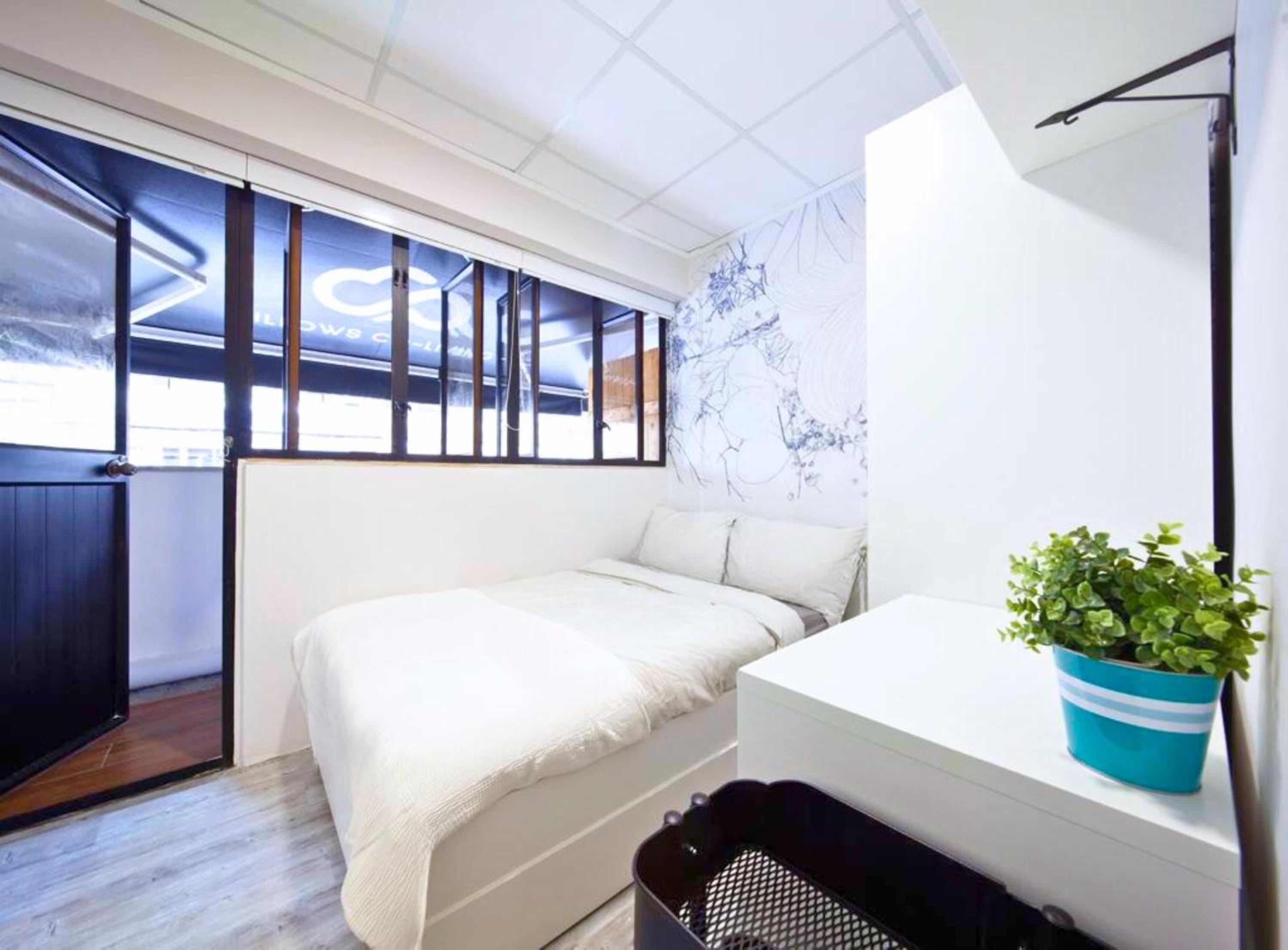 Pillows CoLiving