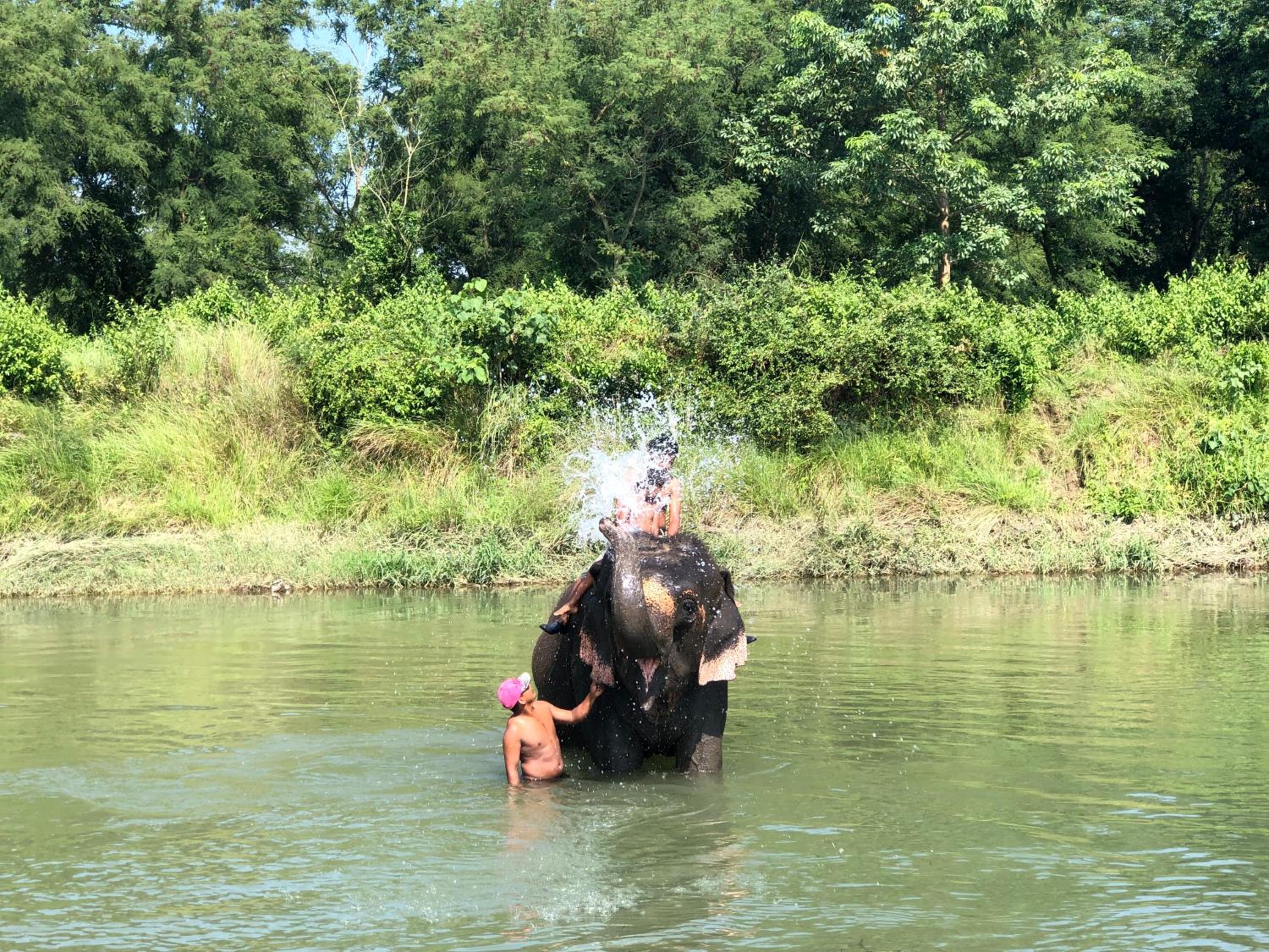 Tharu Community Home Stay