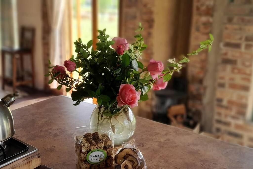 Peaceful Farm cottage, organic, lovely views. view 3
