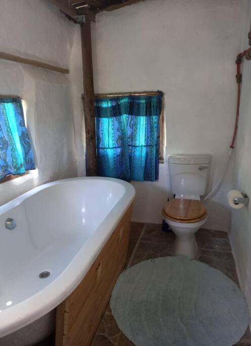 Peaceful Farm cottage, organic, lovely views. view 5