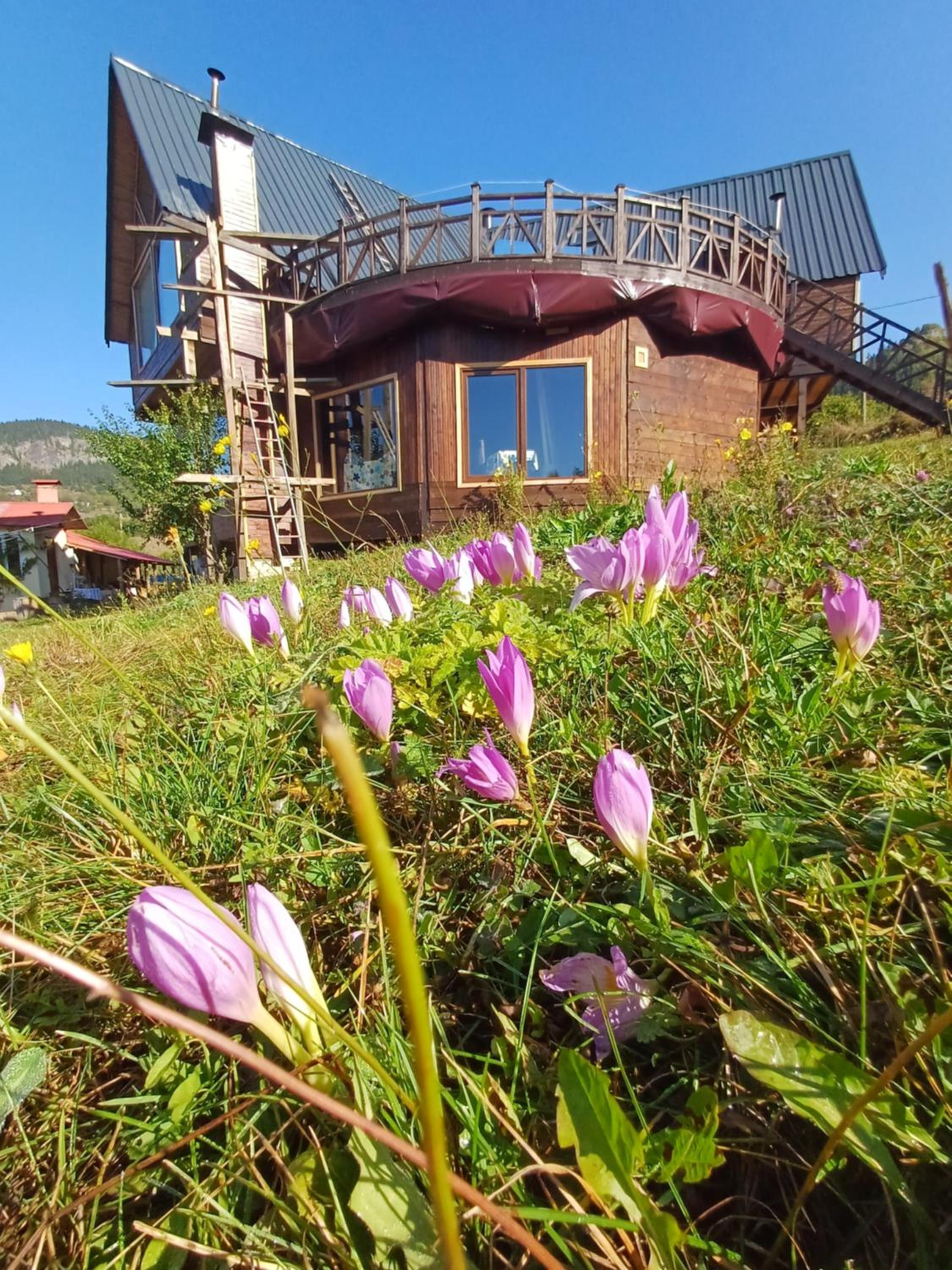 Süllü Dağ Evi