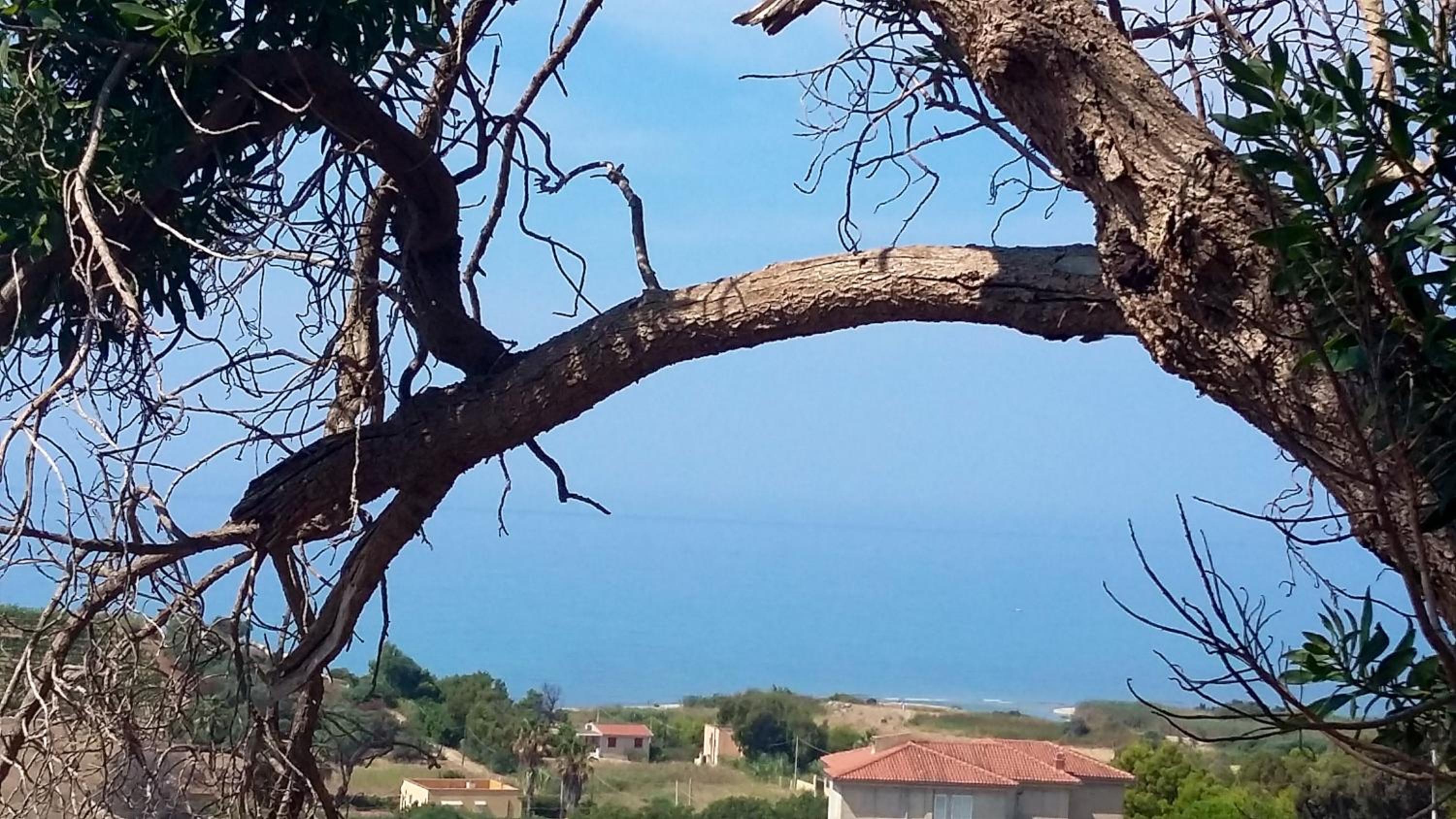Family apartment with sea view in Seccagrande 65 m² terrace view 4