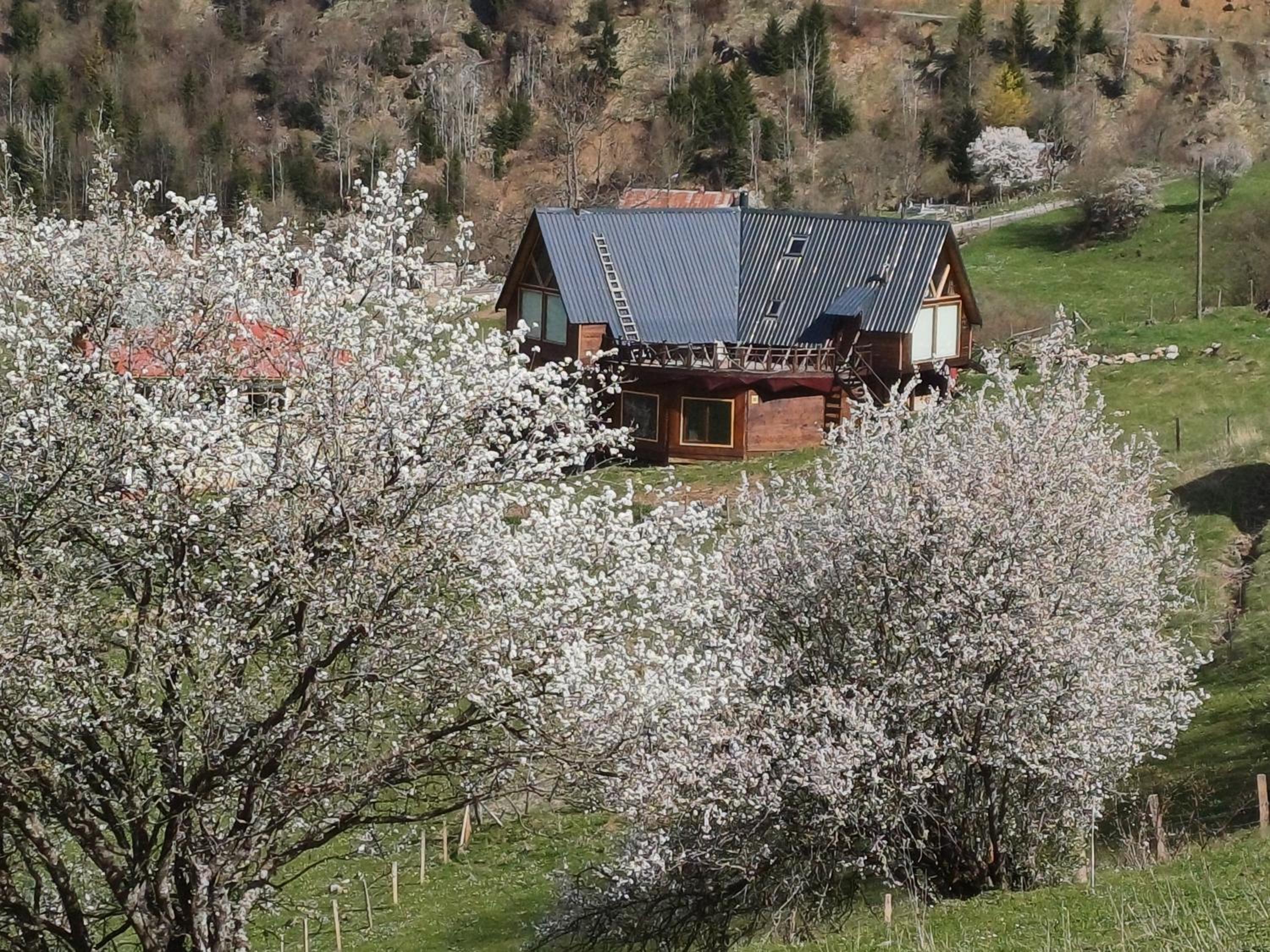 Süllü Dağ Evi