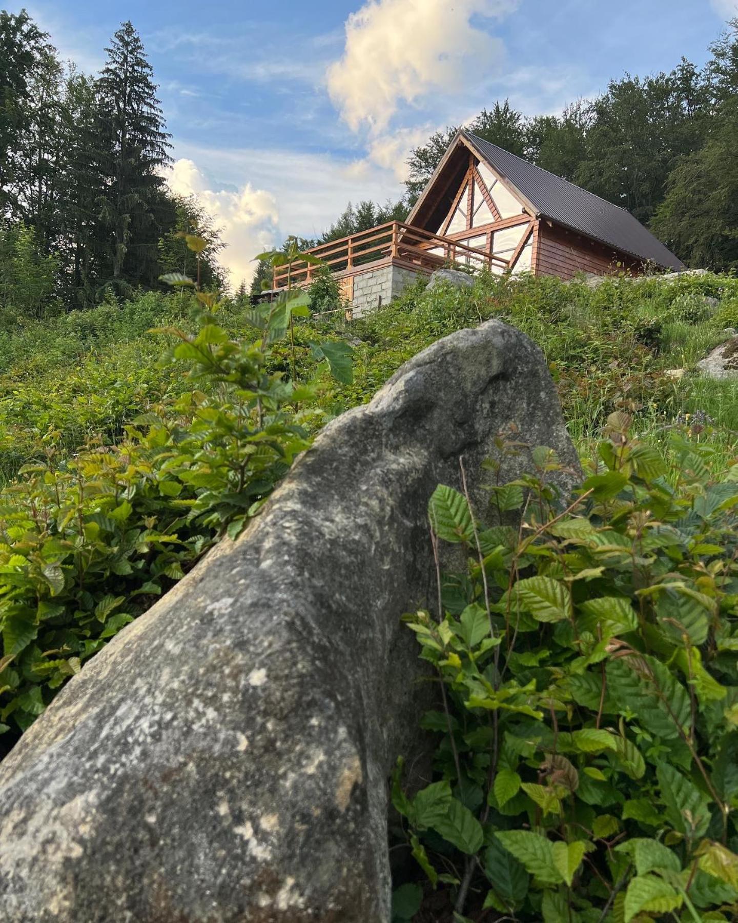 Sara’S Land view 3