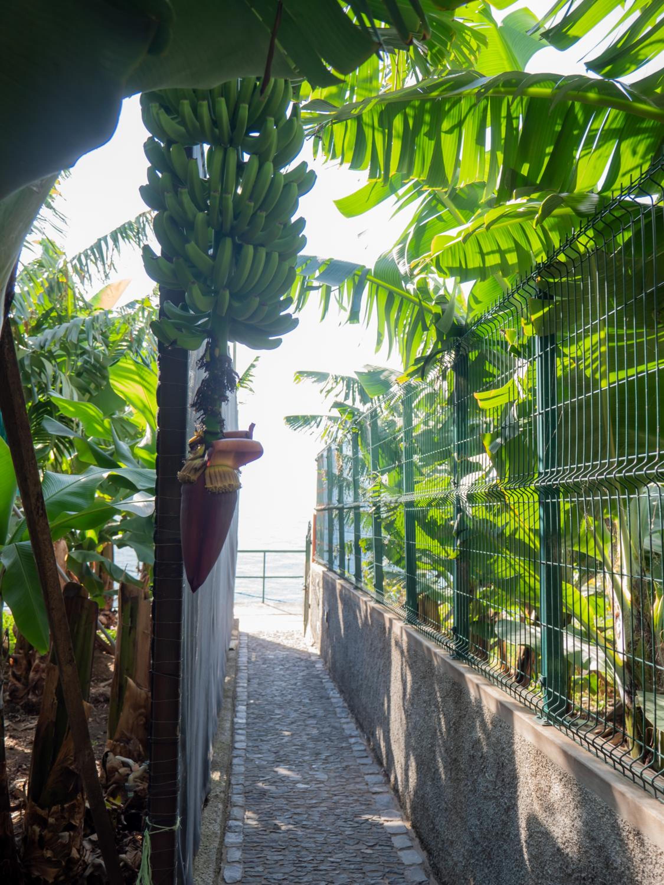 Photo 95