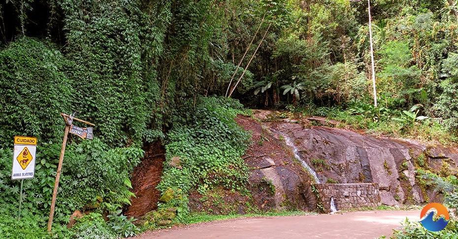 Mangaratiba Lazer e paz na Mata Atlântica