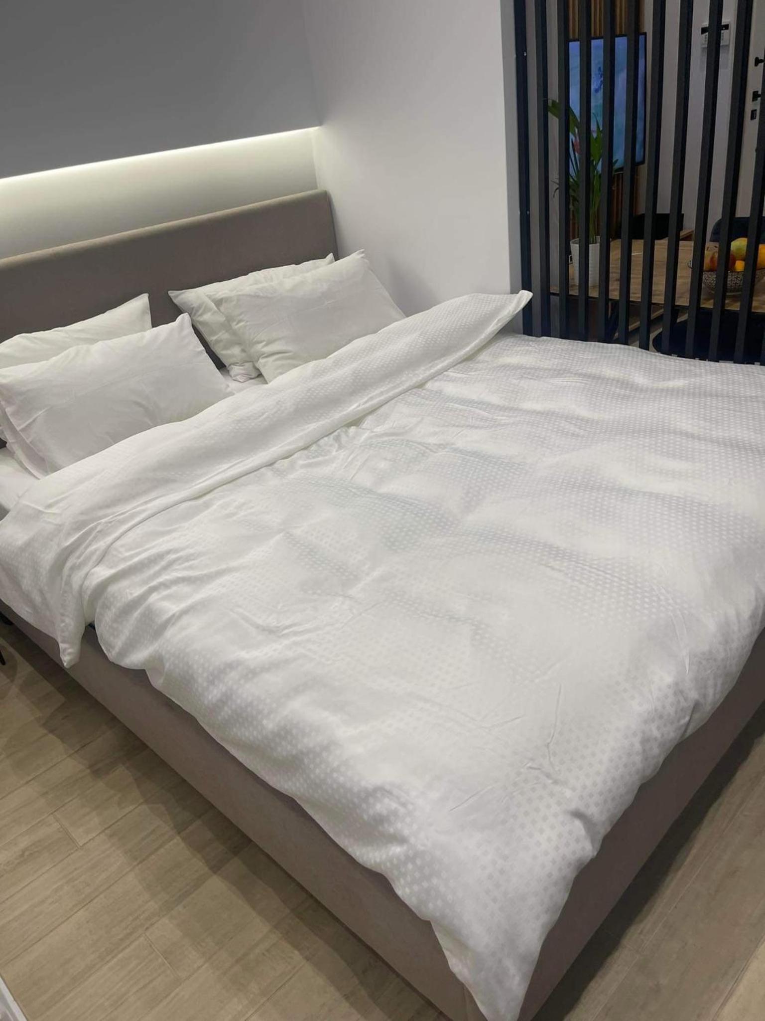 B1 Luxury Studio - Property Image 2