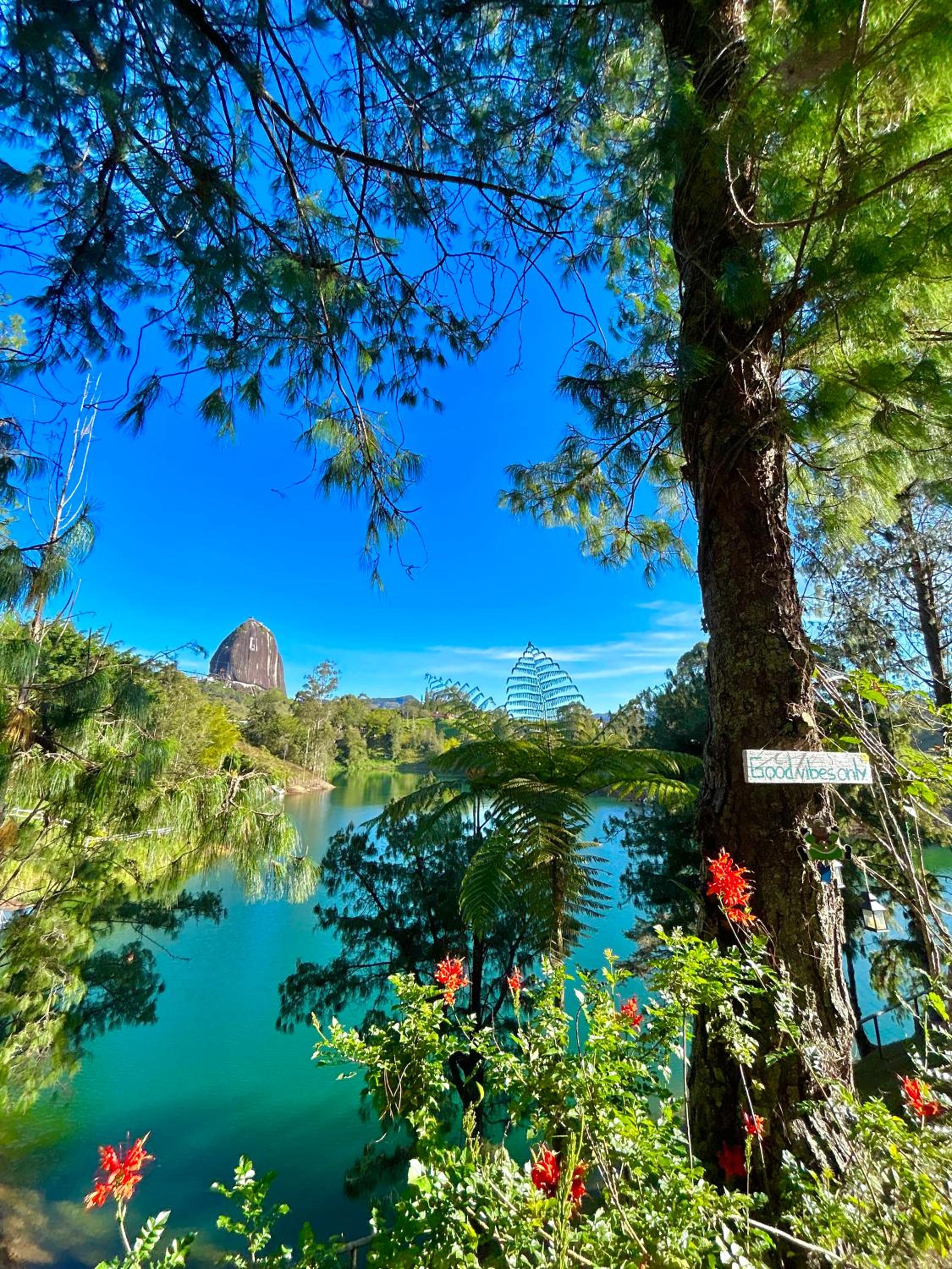 El Trebol