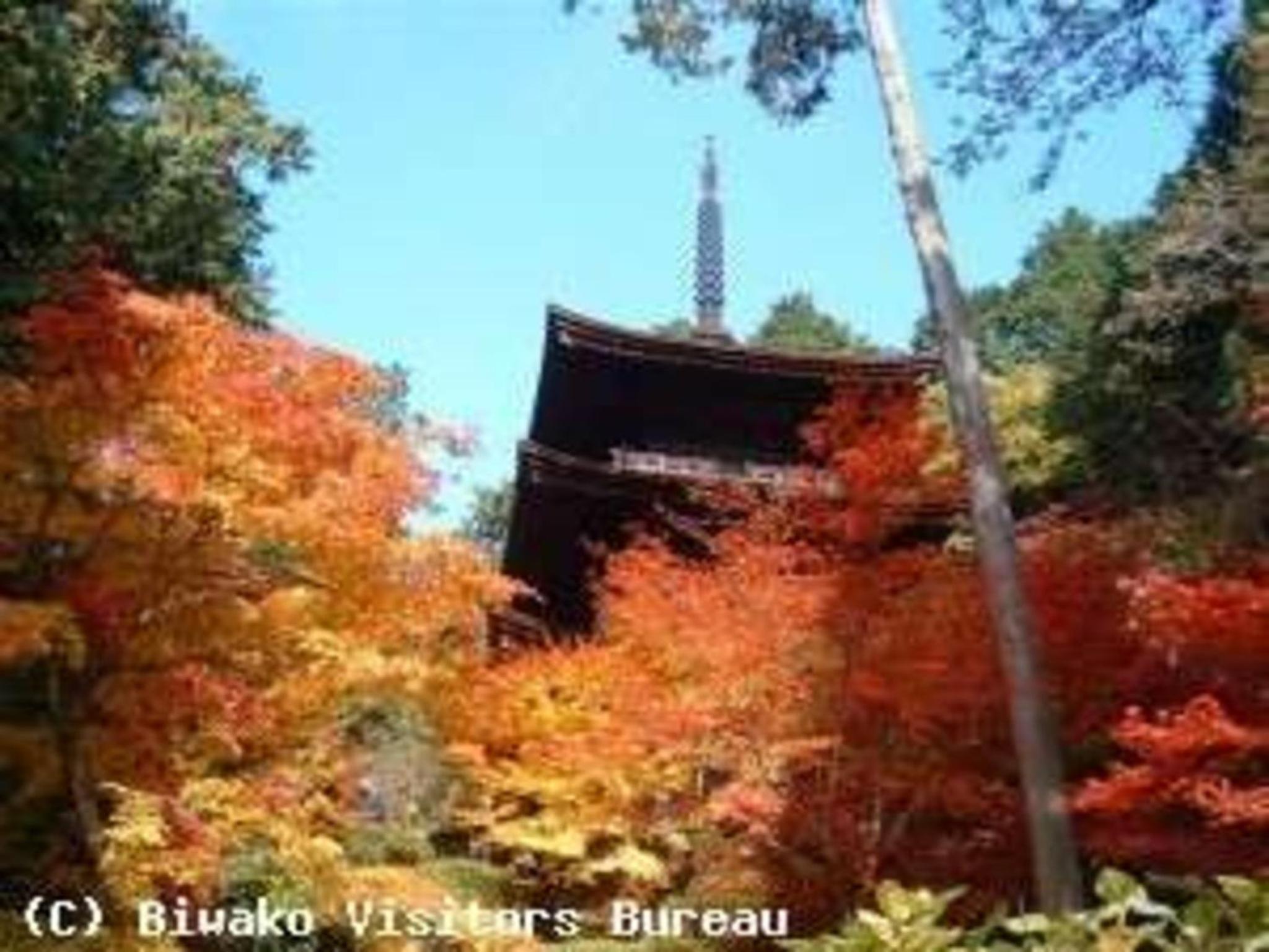Business Green Hotel Hino - Vacation STAY 16317v view 4
