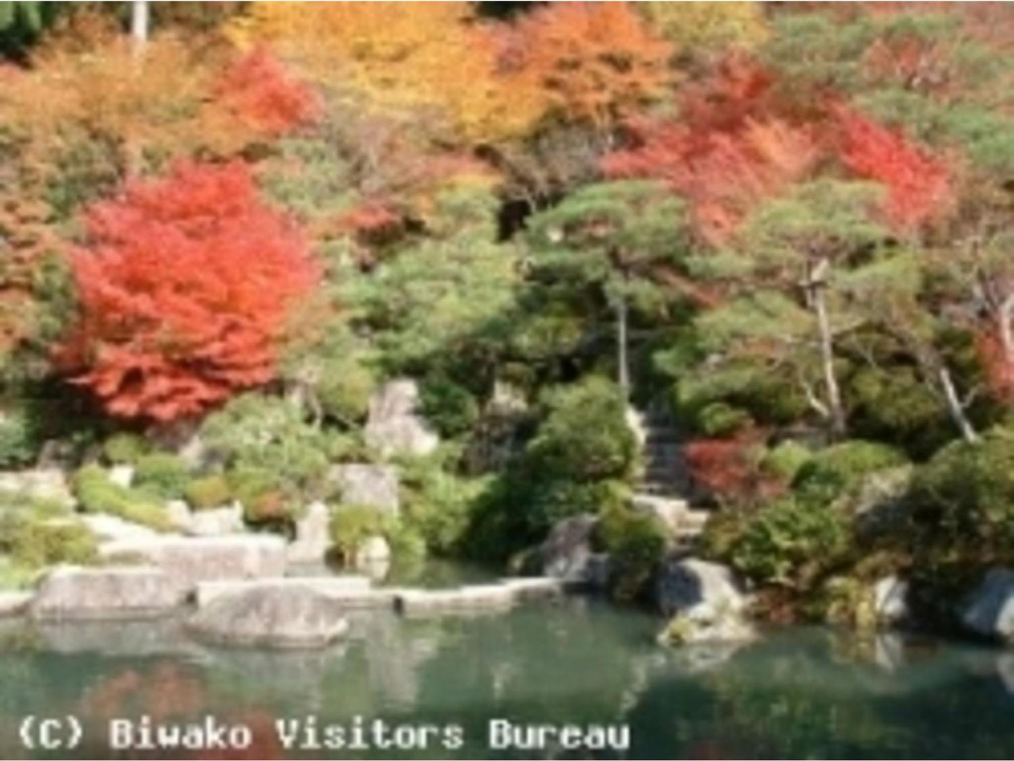 Business Green Hotel Hino - Vacation STAY 16317v view 5