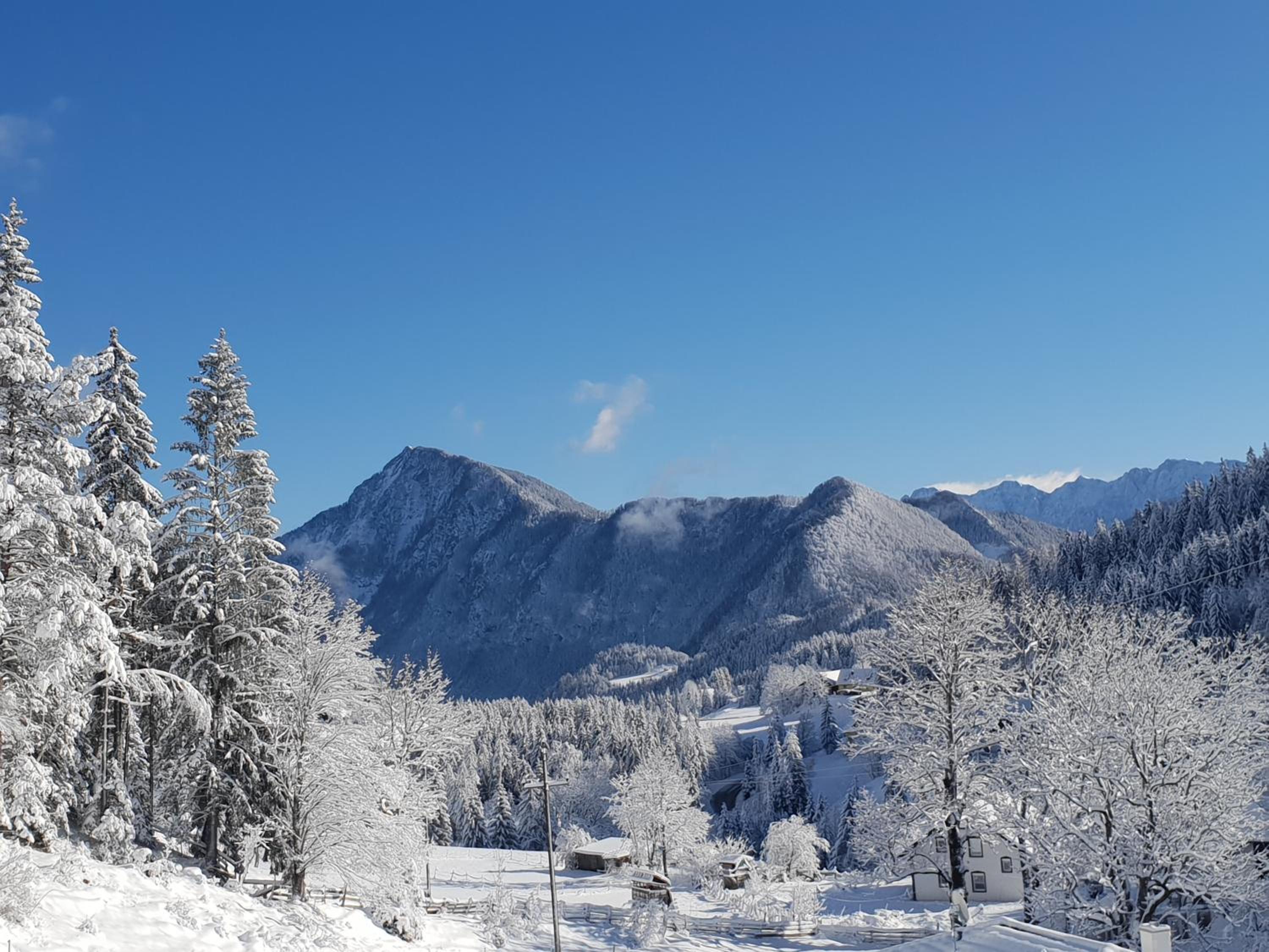 Alpenloft Theresia