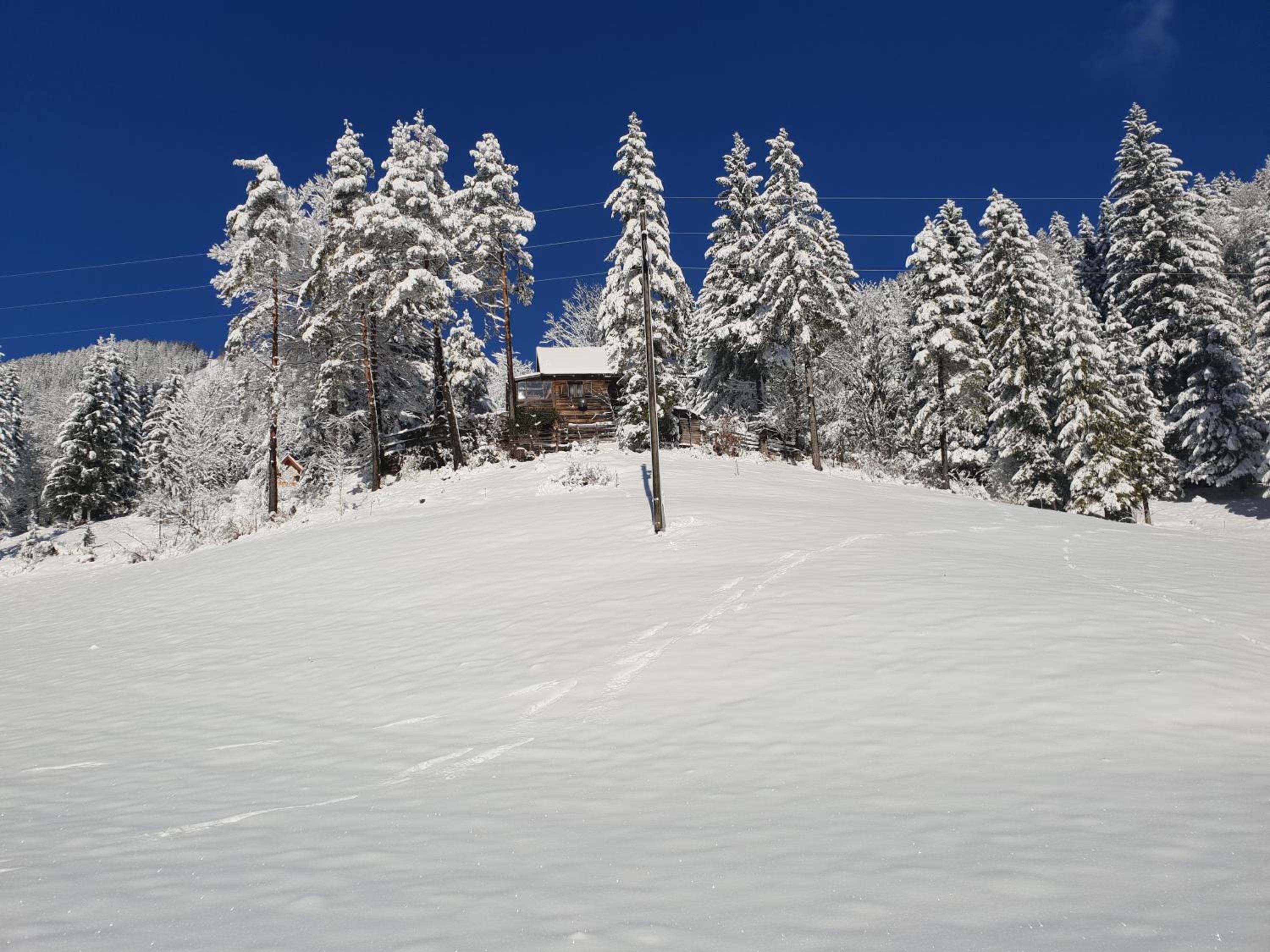 Alpenloft Theresia