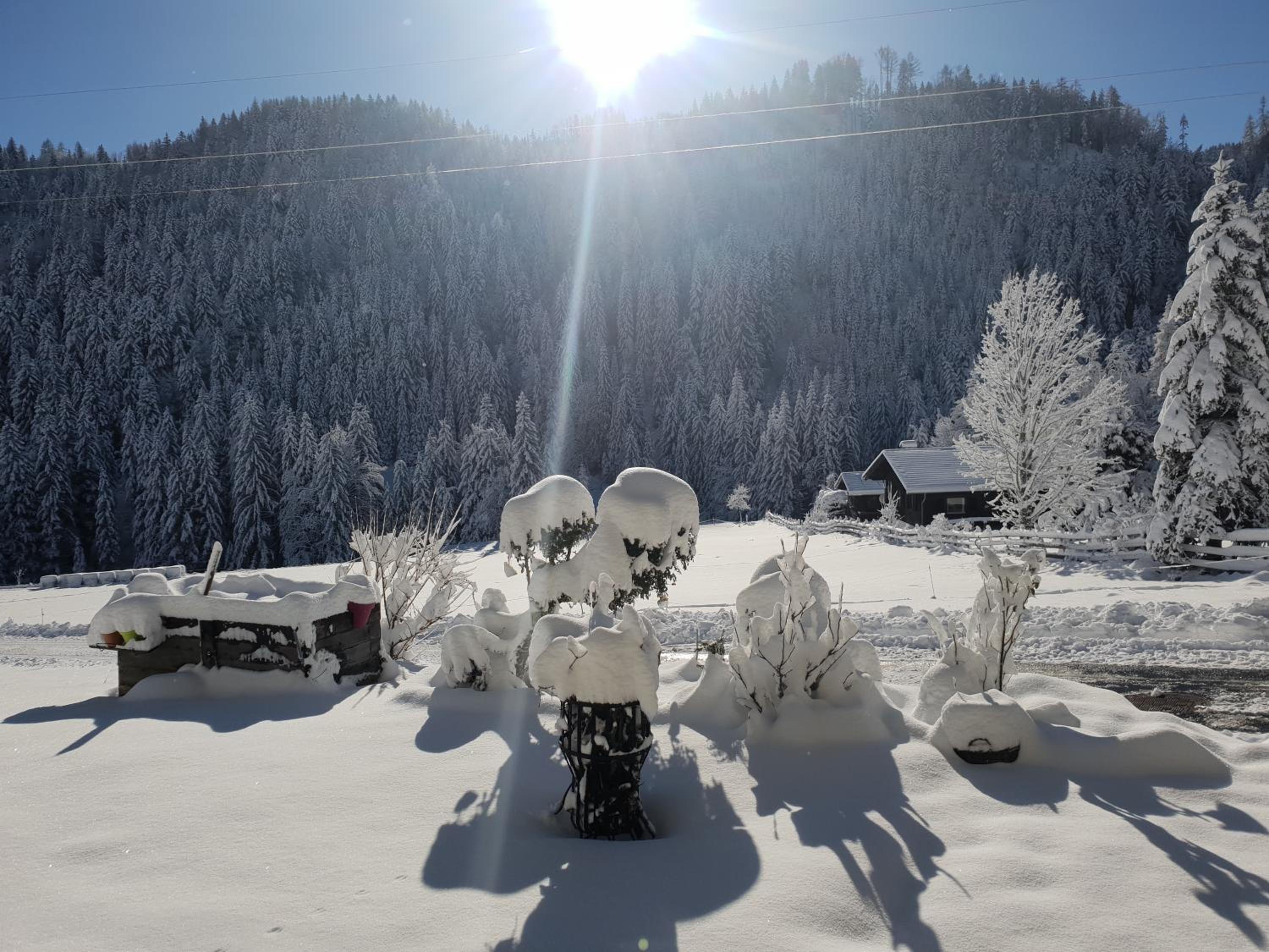 Alpenloft Theresia