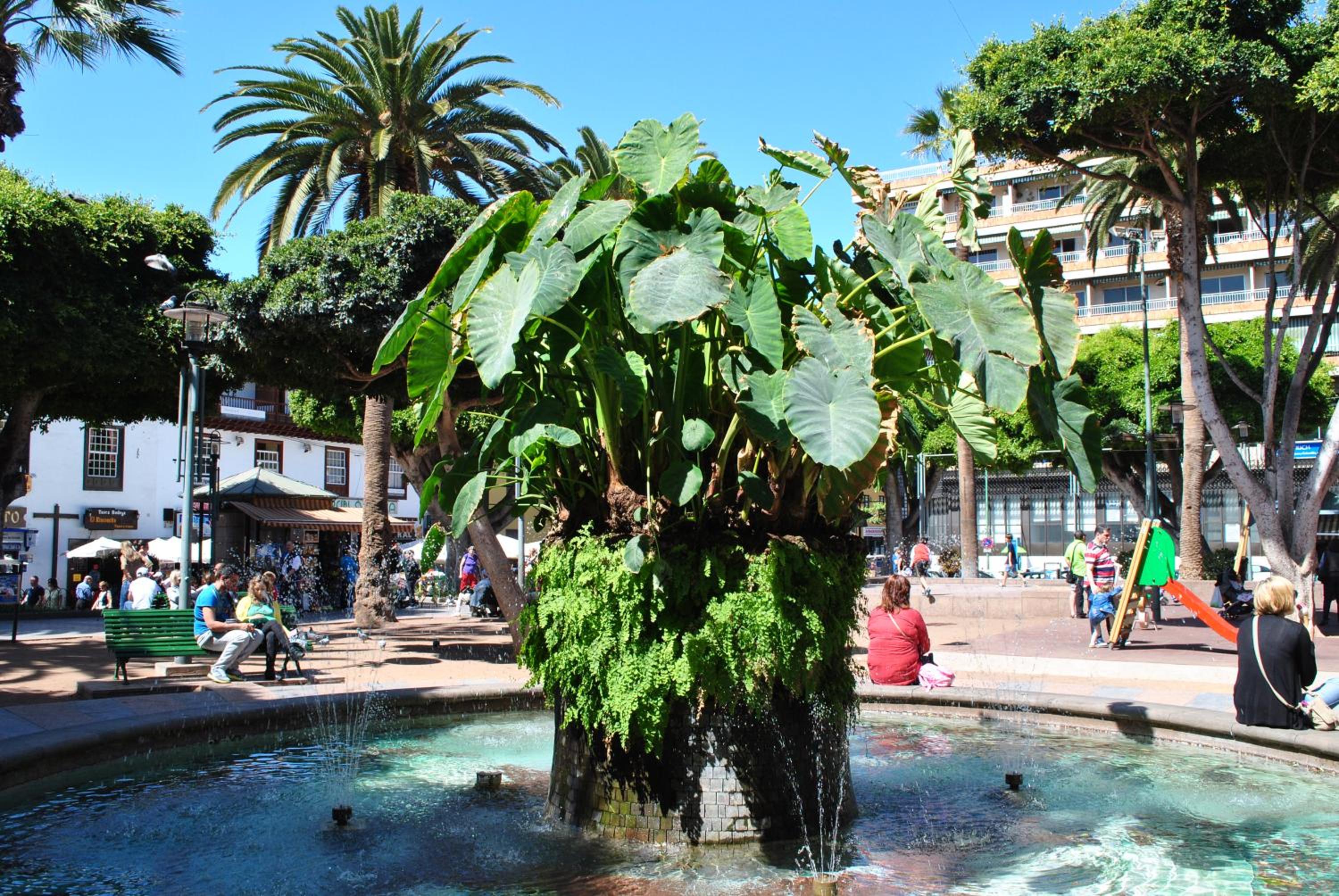 Durazno Tropical Apartment Puerto de la Cruz