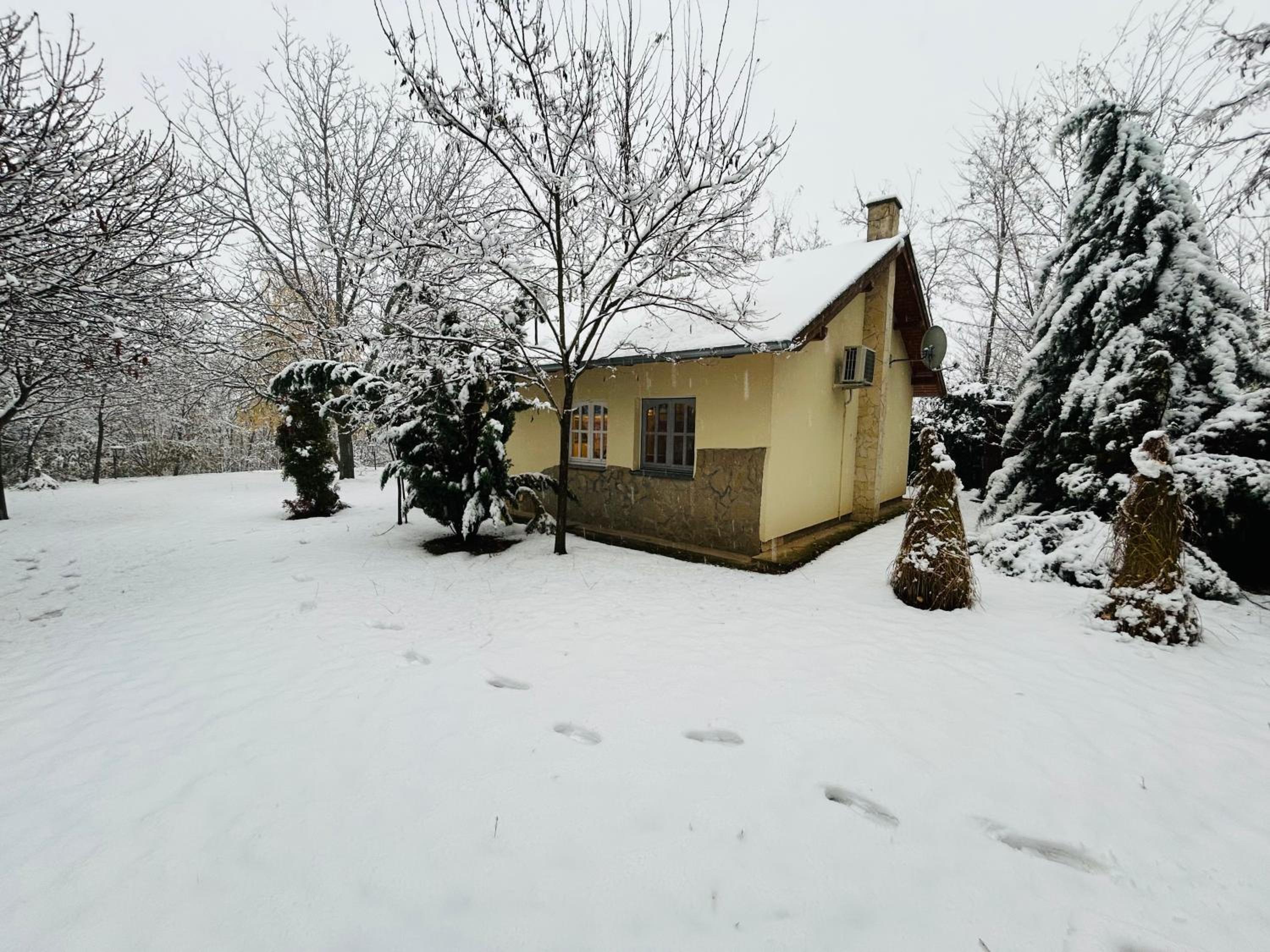 Photo 46
