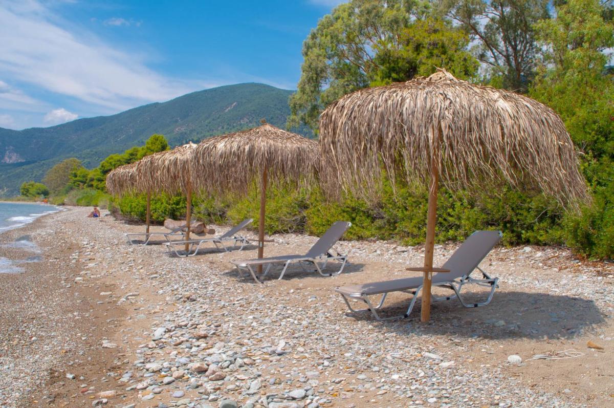 Just Barrett photo 5