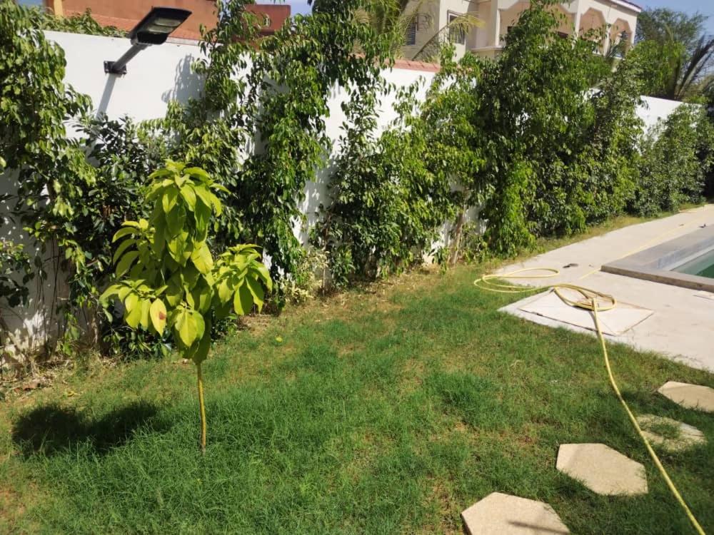 Photo 37