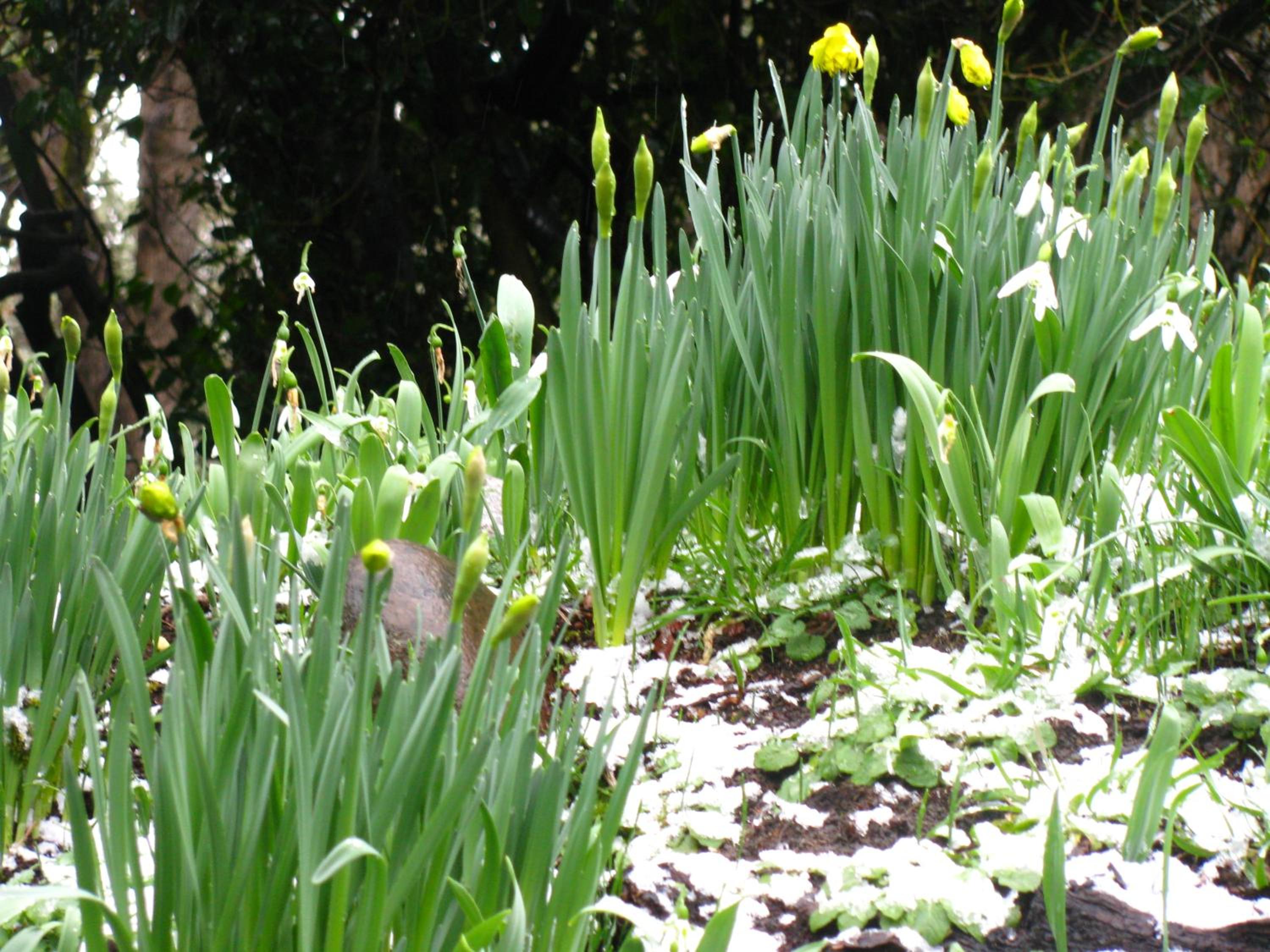 Photo 25