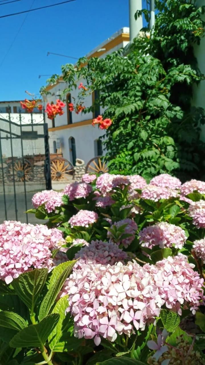 Posada Las Hortensias