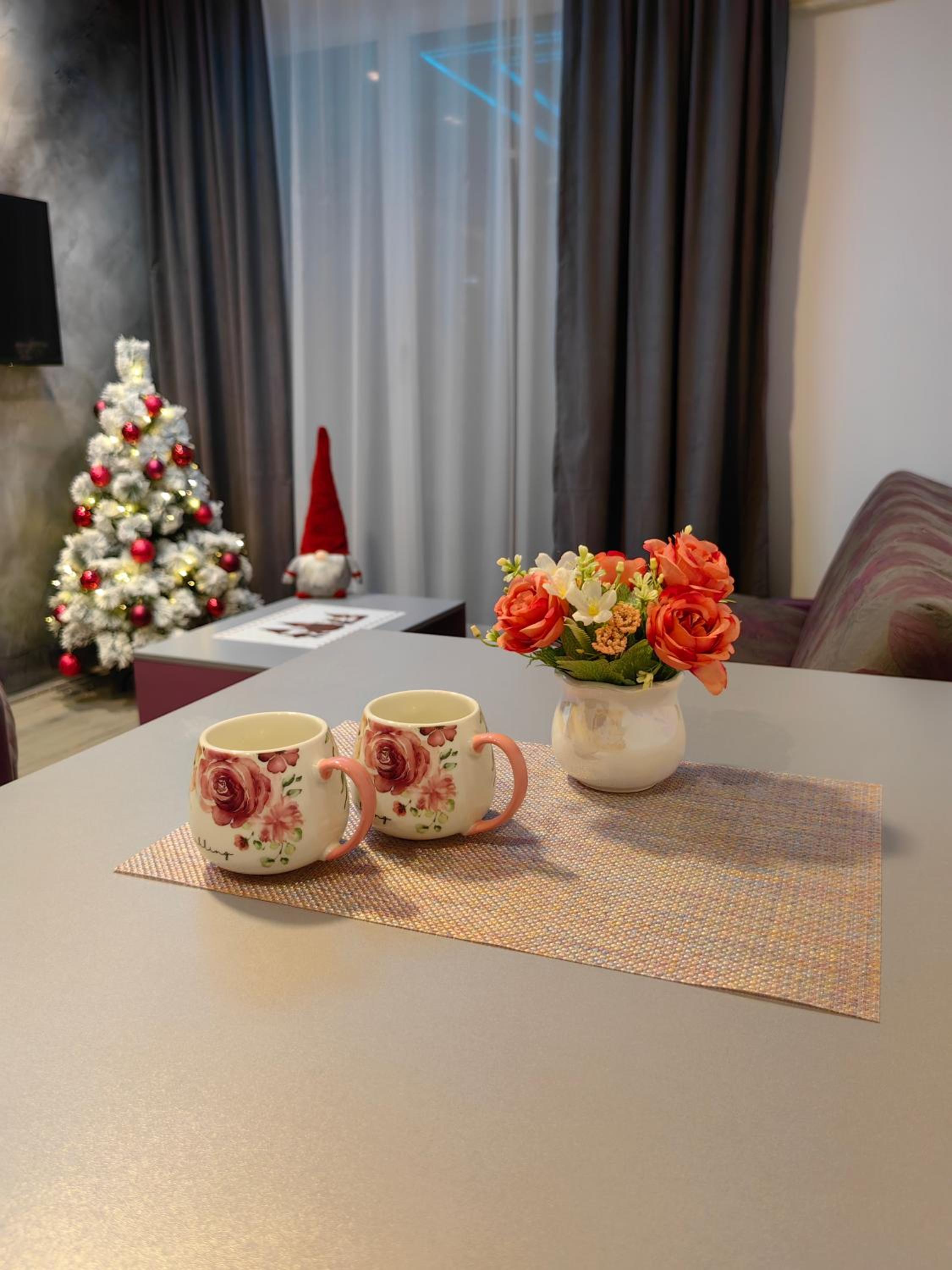 Apartmani MiS apartman br 2 view 2